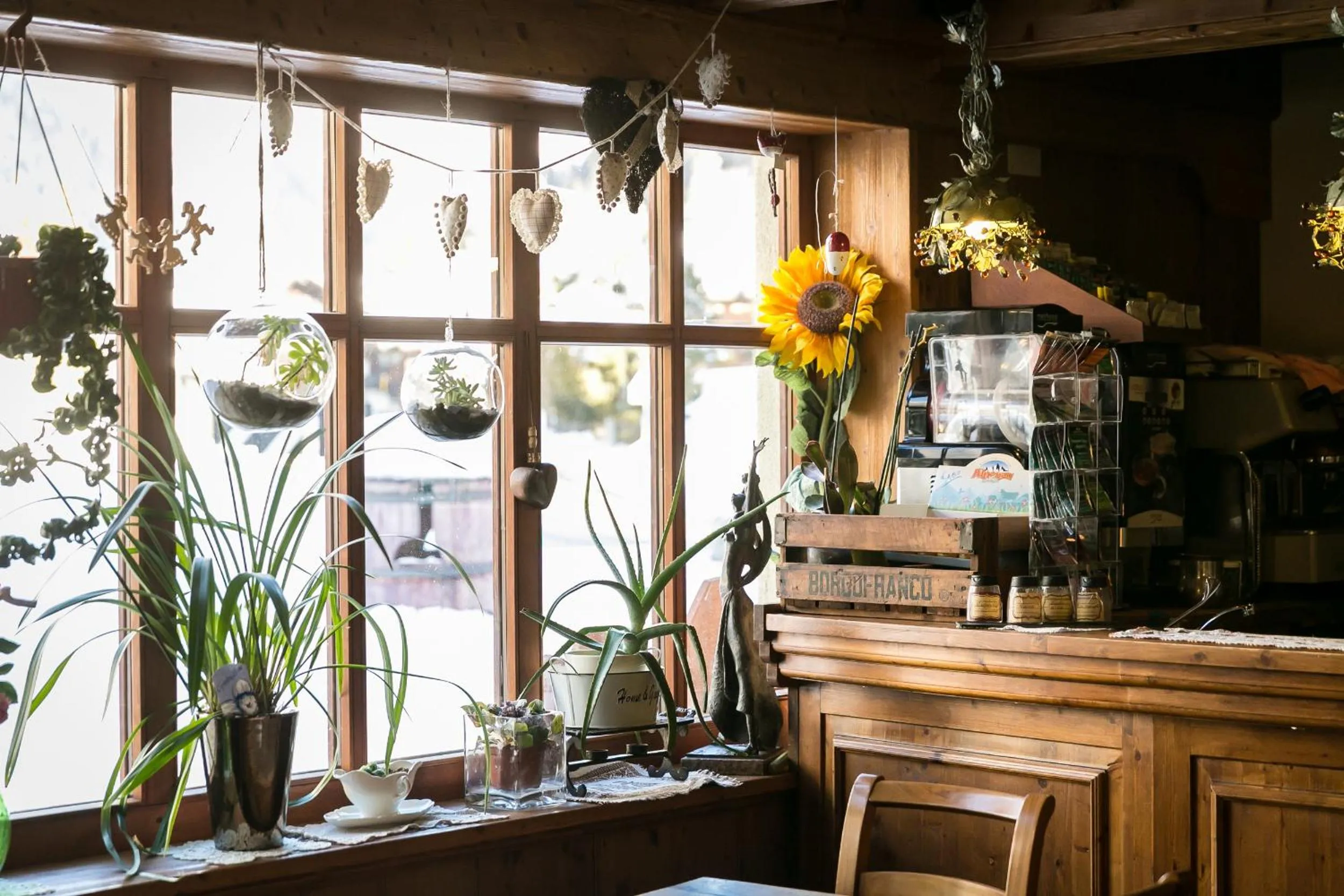 Lobby or reception in Hotel Lyshaus