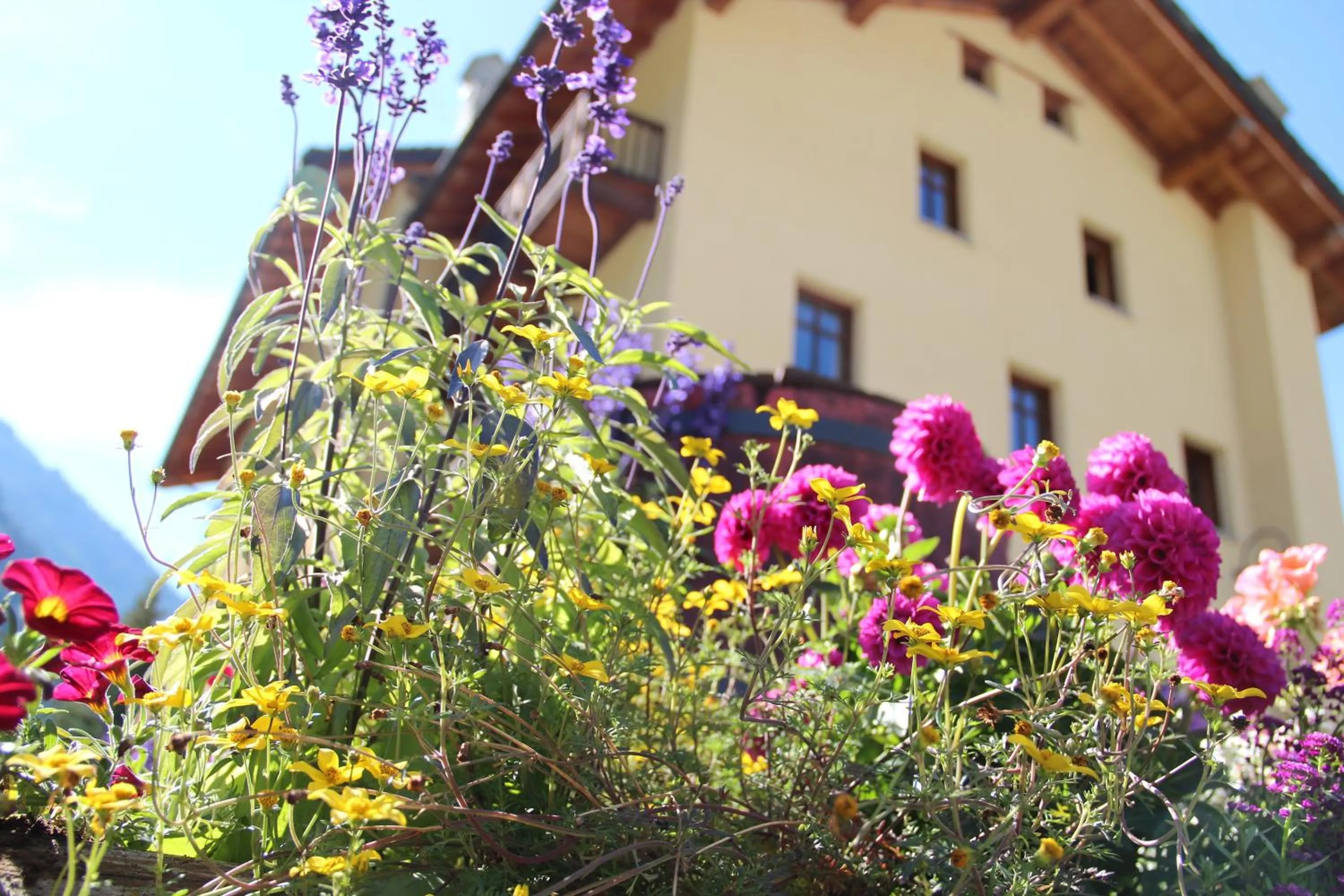 Facade/entrance in Hotel Lyshaus