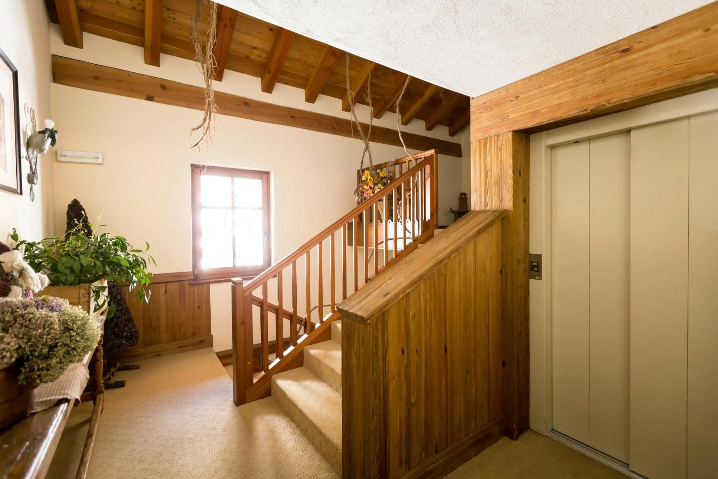 Area and facilities in Hotel Lyshaus