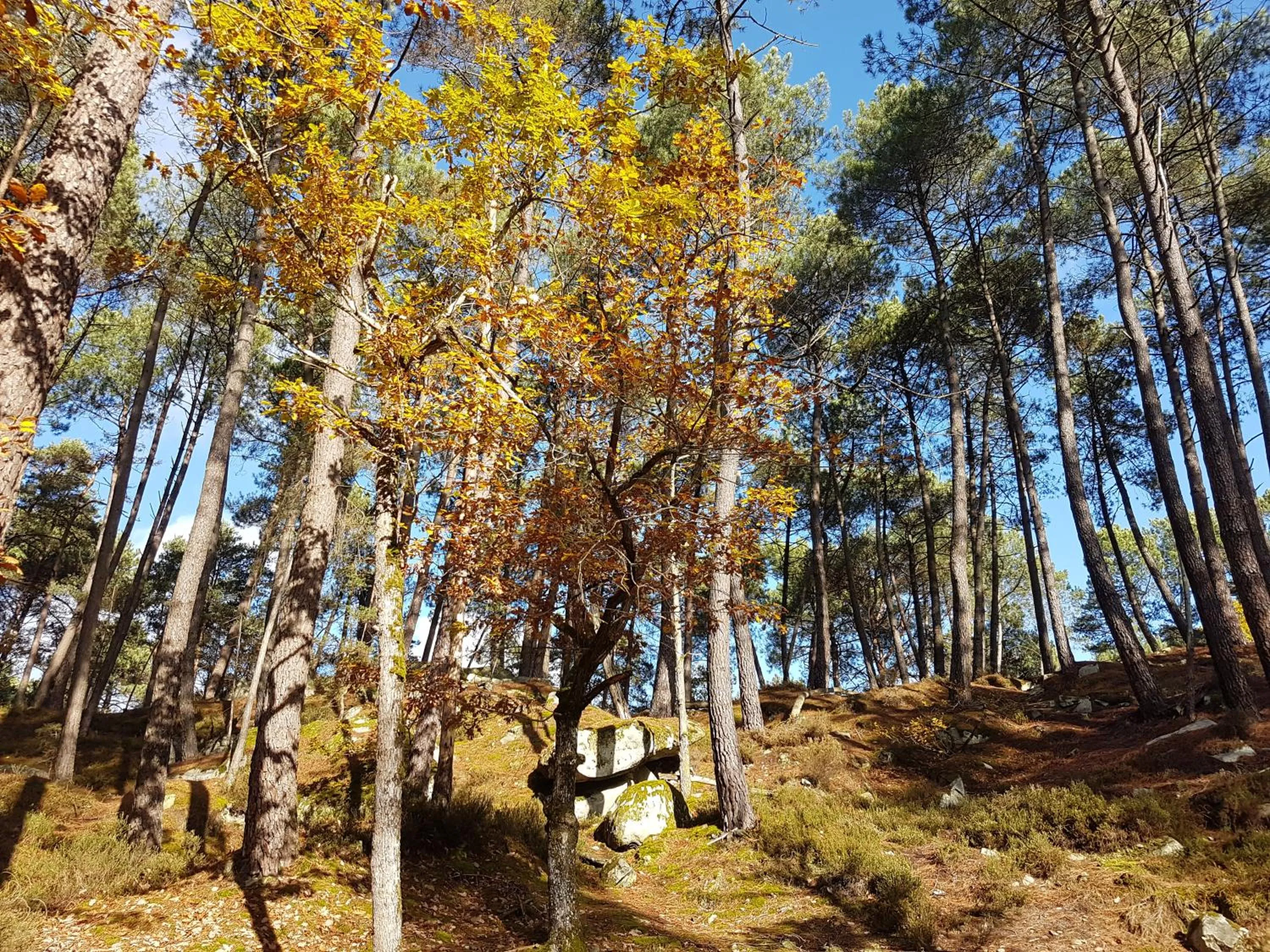 Off site in La Montignonne