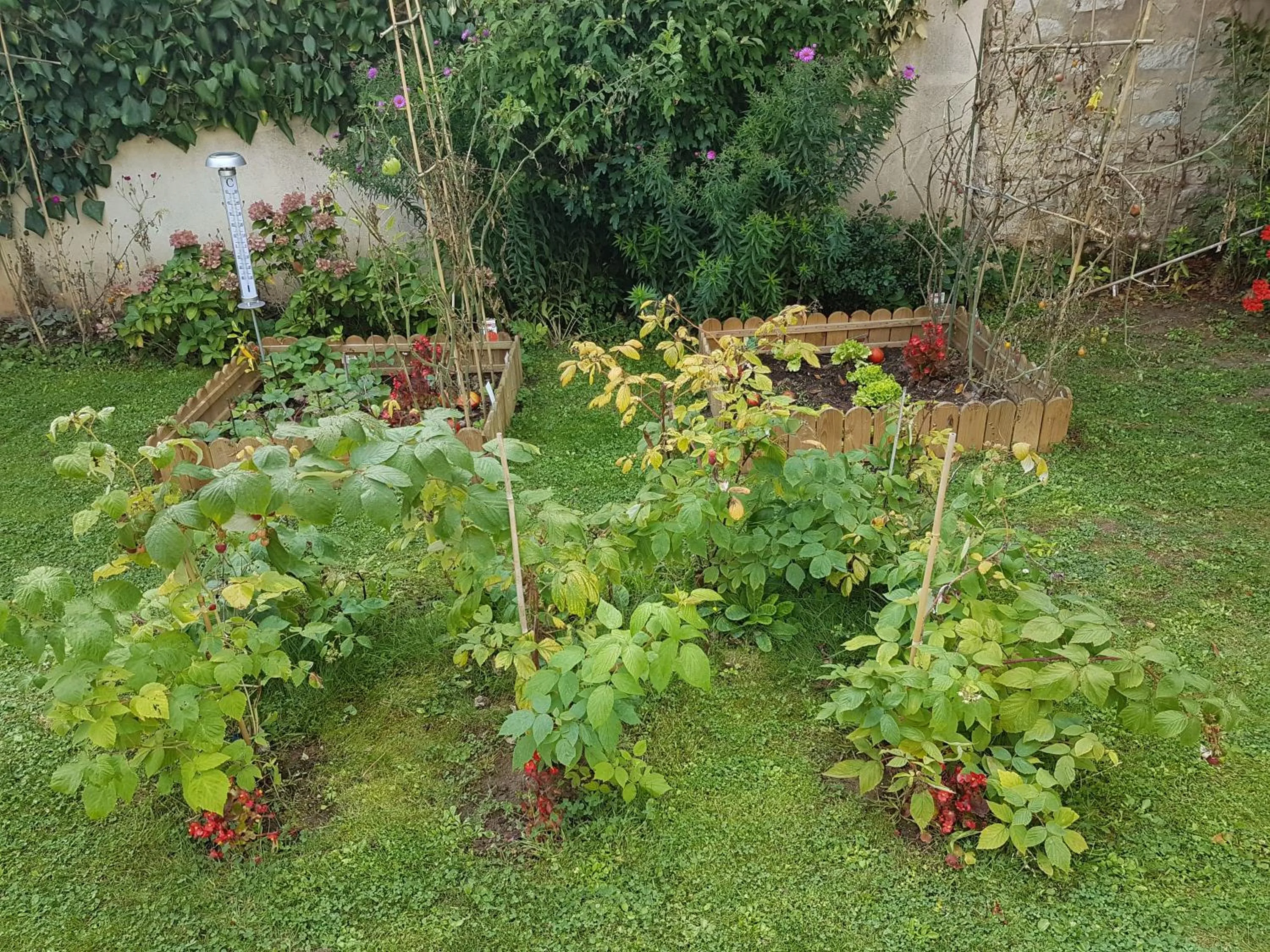 Garden in La Montignonne