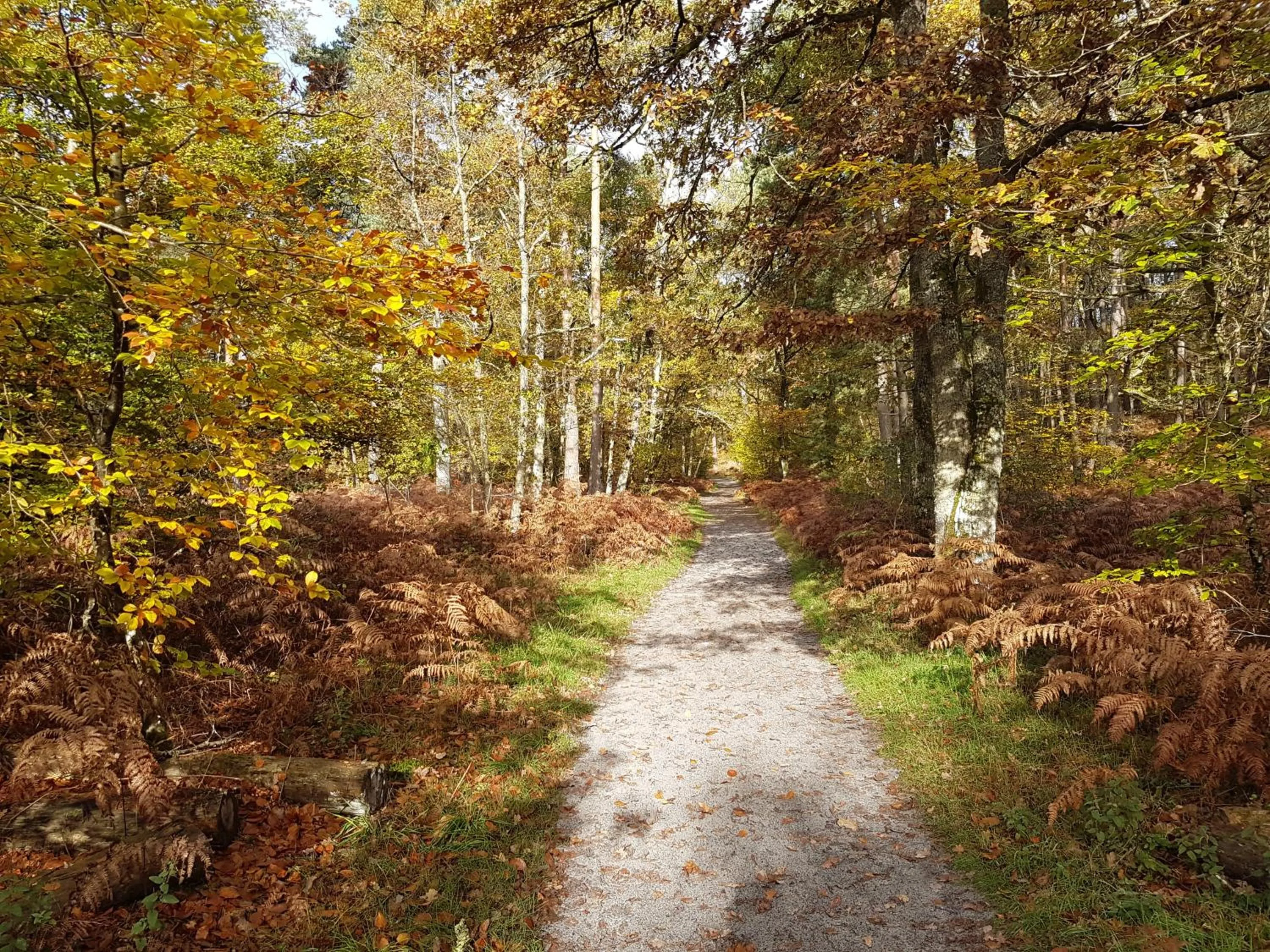 Off site in La Montignonne