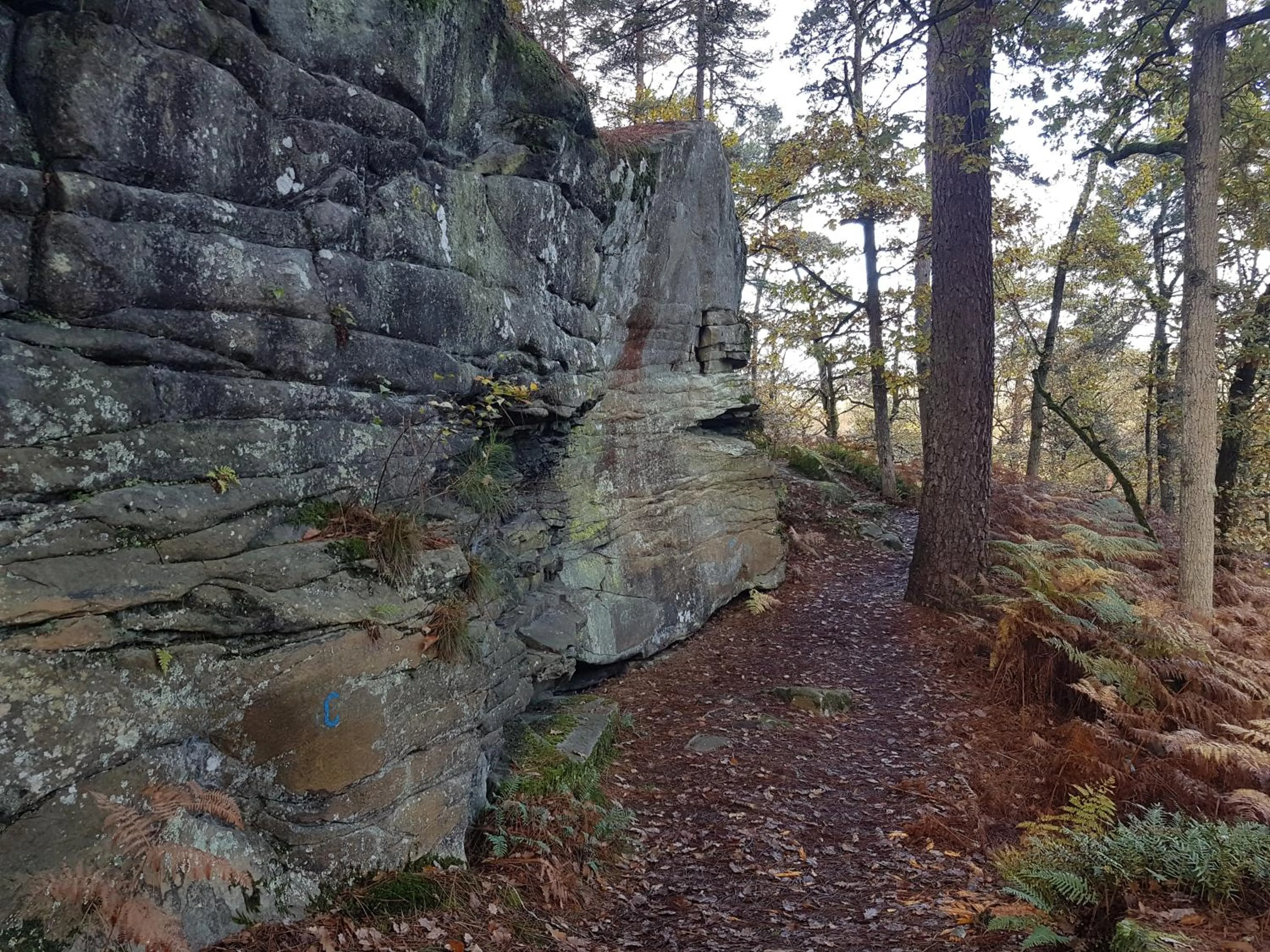 Off site in La Montignonne