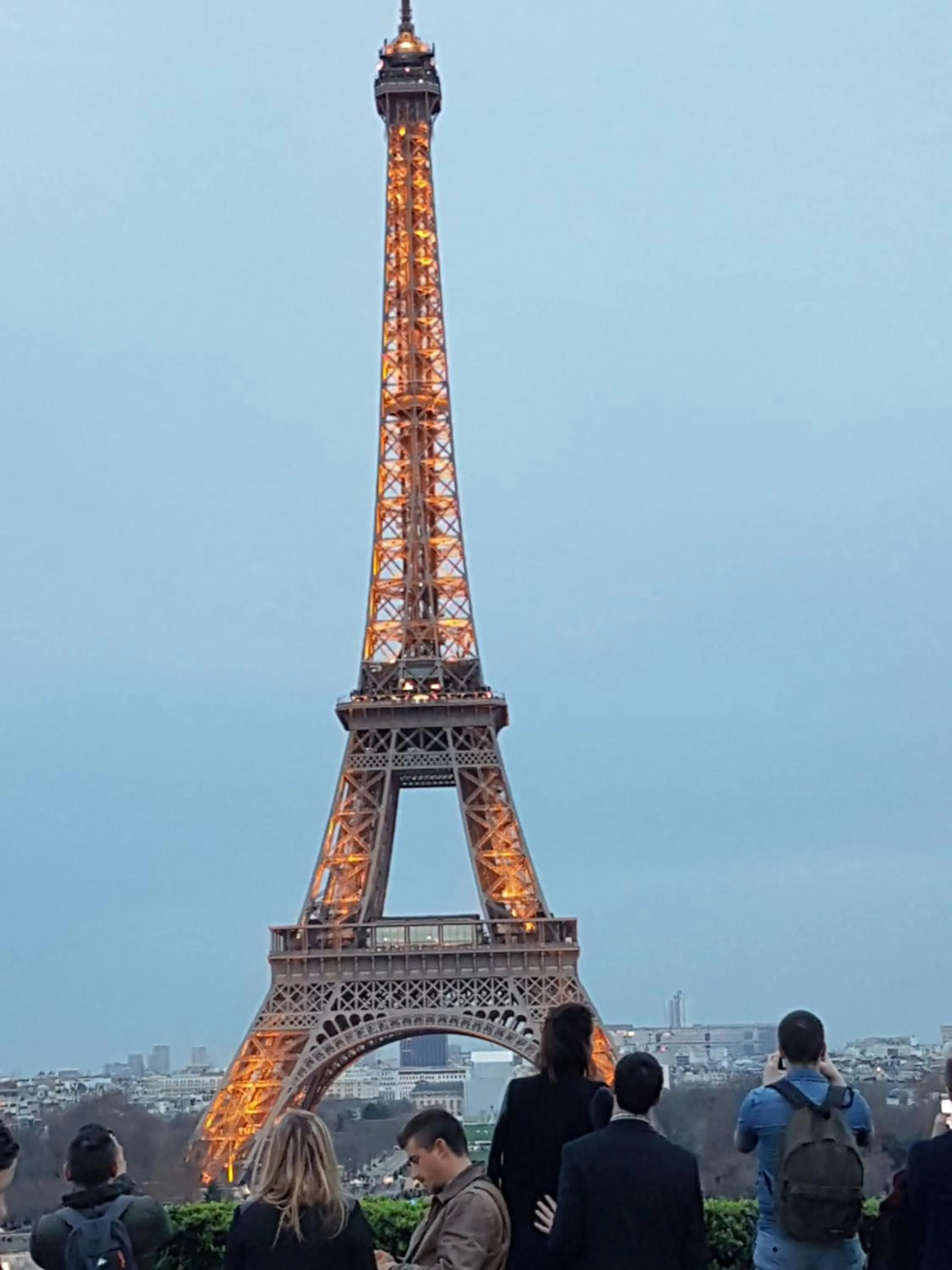 Activities in La Montignonne