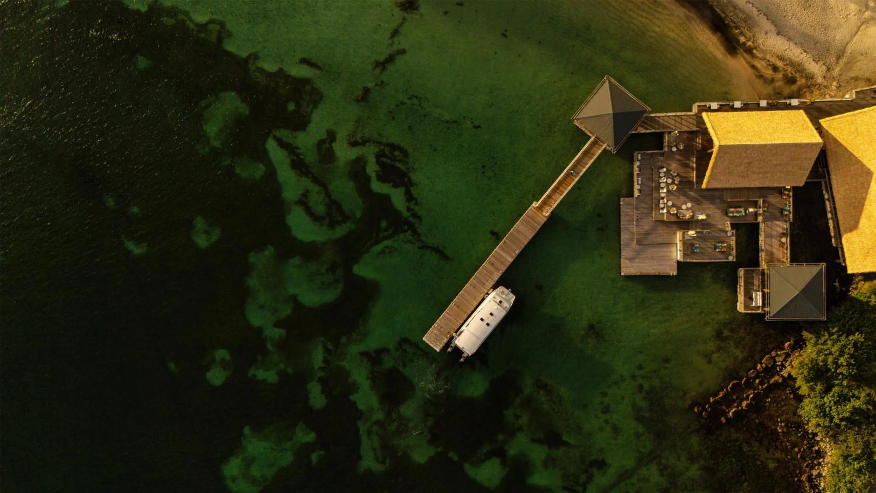 Restaurant/places to eat in Park Hyatt St. Kitts