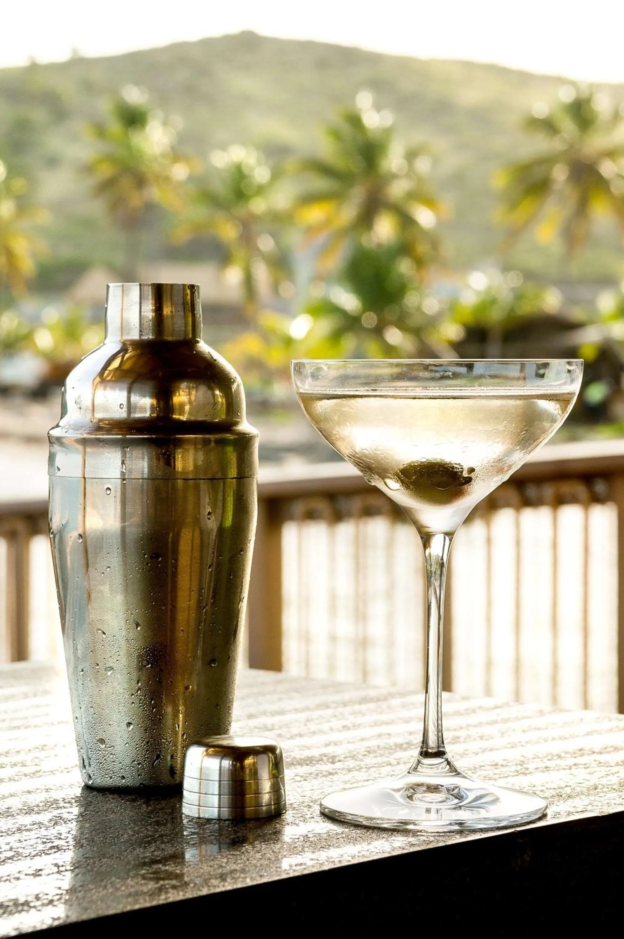 Lounge or bar in Park Hyatt St. Kitts