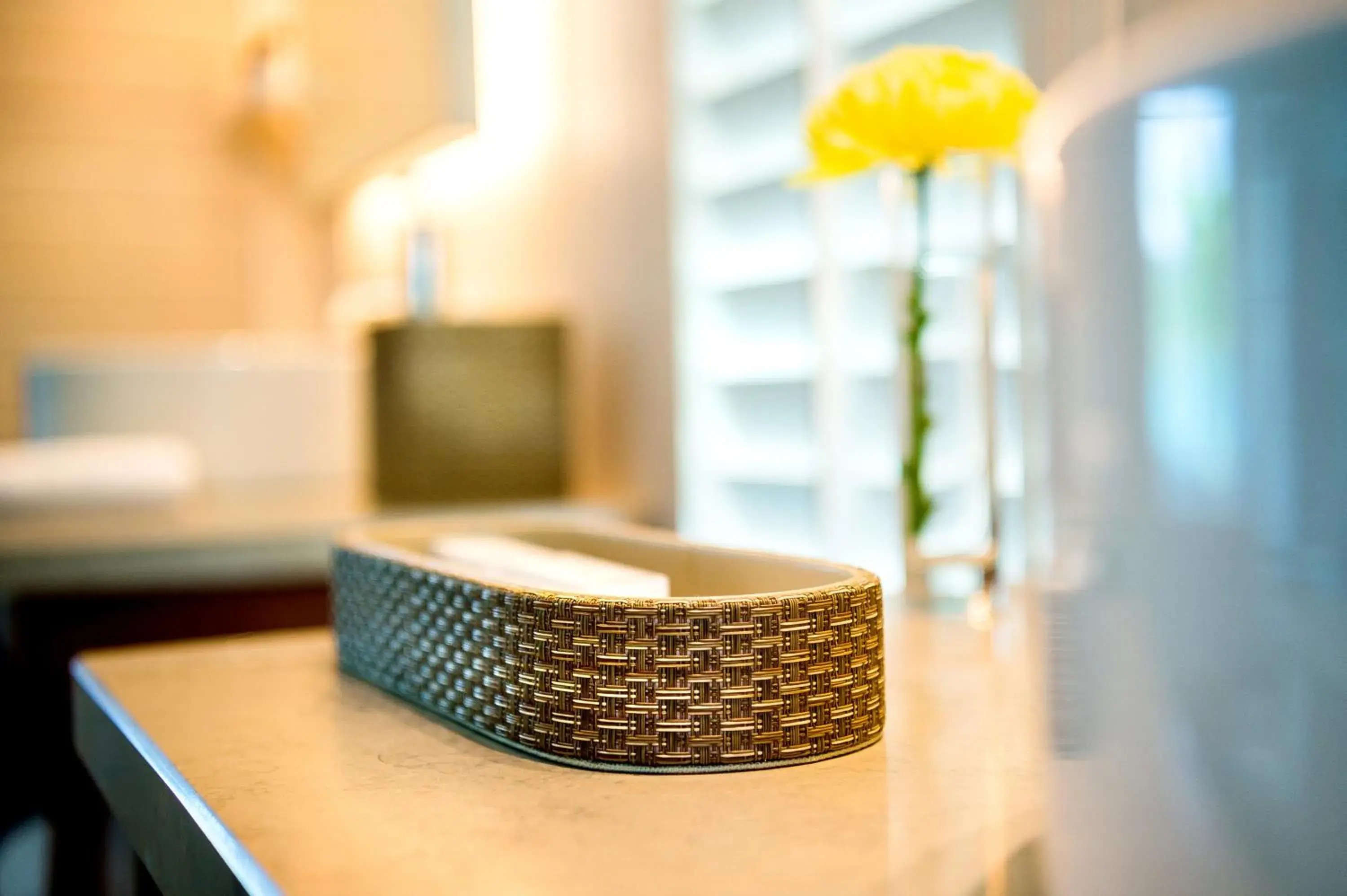 Queen Room with Two Queen Beds and Accessible Shower - Disability Access in Park Hyatt St. Kitts Queen Room with Two Queen Beds and Accessible Shower - Disability Access in Park Hyatt St. Kitts