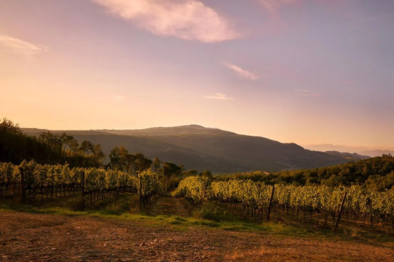 Tenuta San Vito In Fior Di Selva