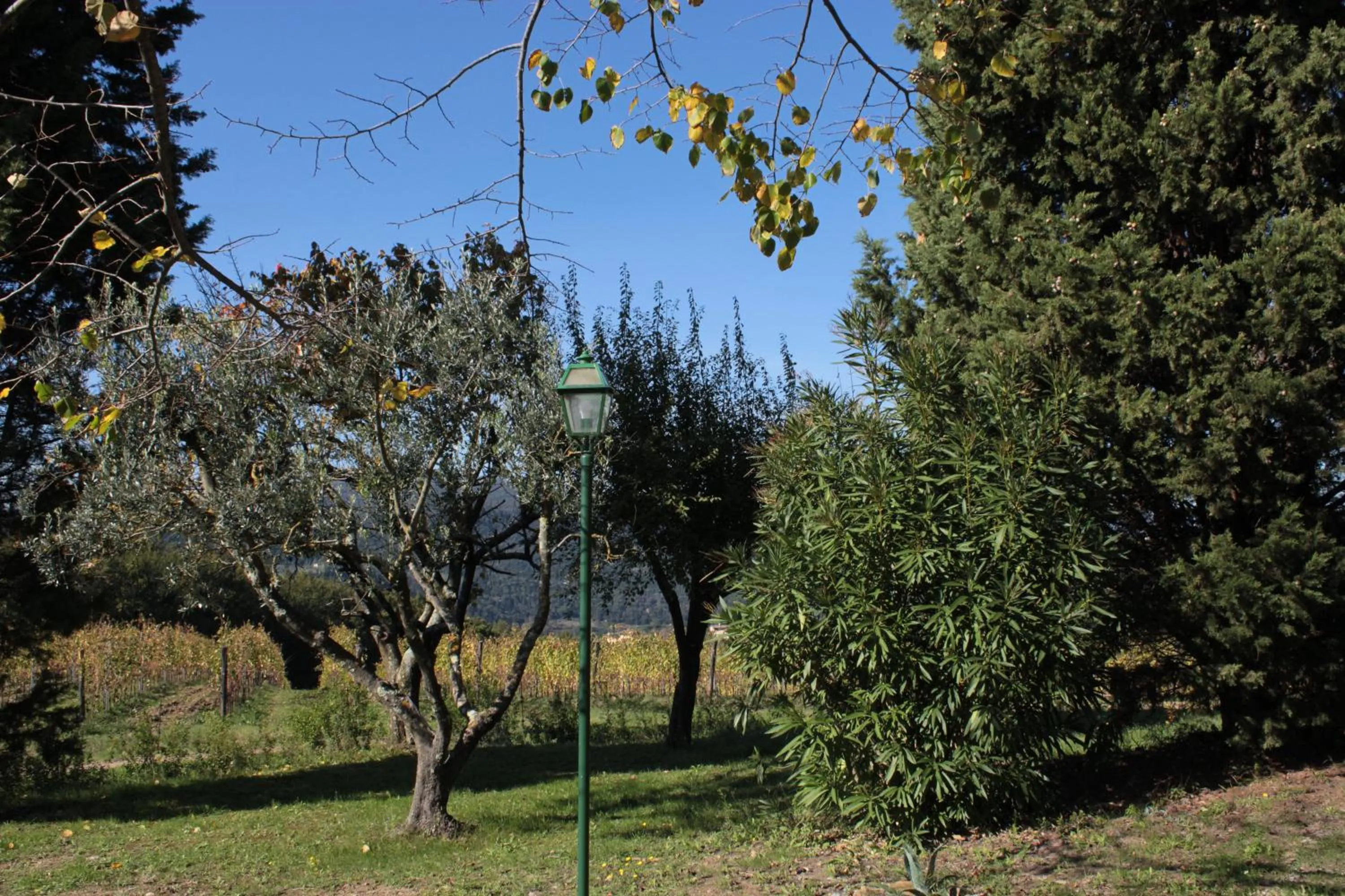 Tenuta San Vito In Fior Di Selva