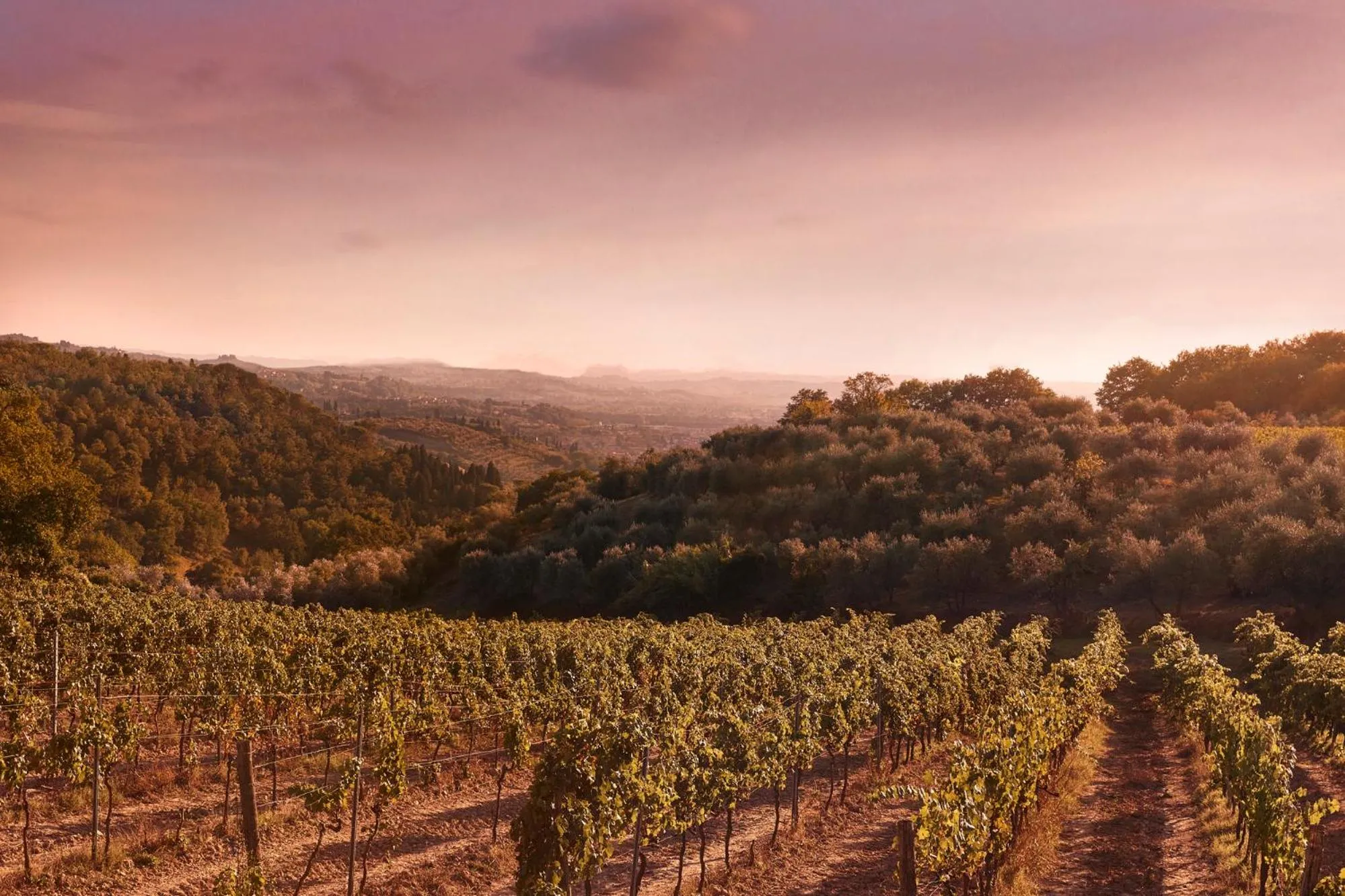 Tenuta San Vito In Fior Di Selva