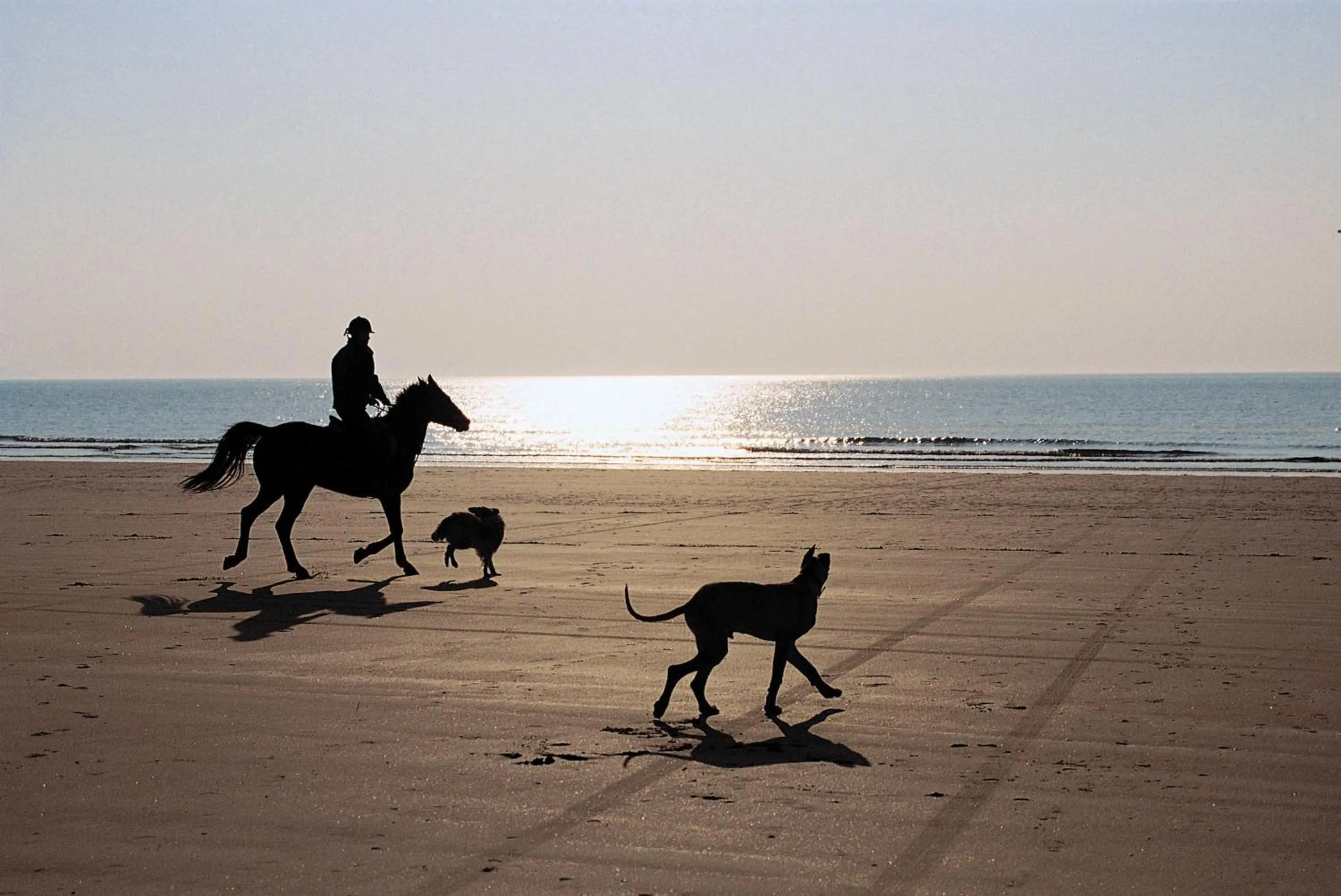 Beach in Hotel Chalets Middelburg