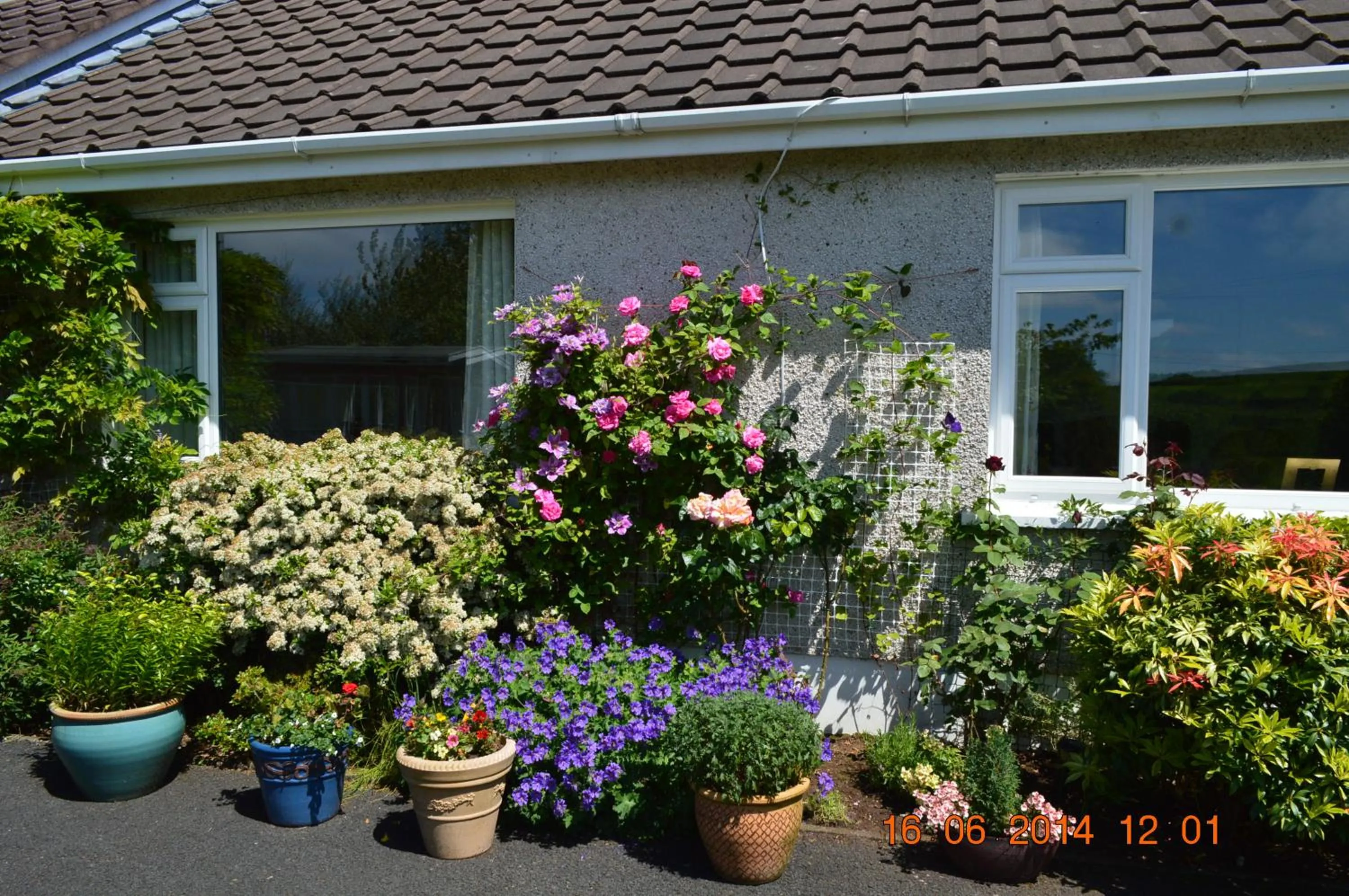 Facade/entrance in Meadow View B&B