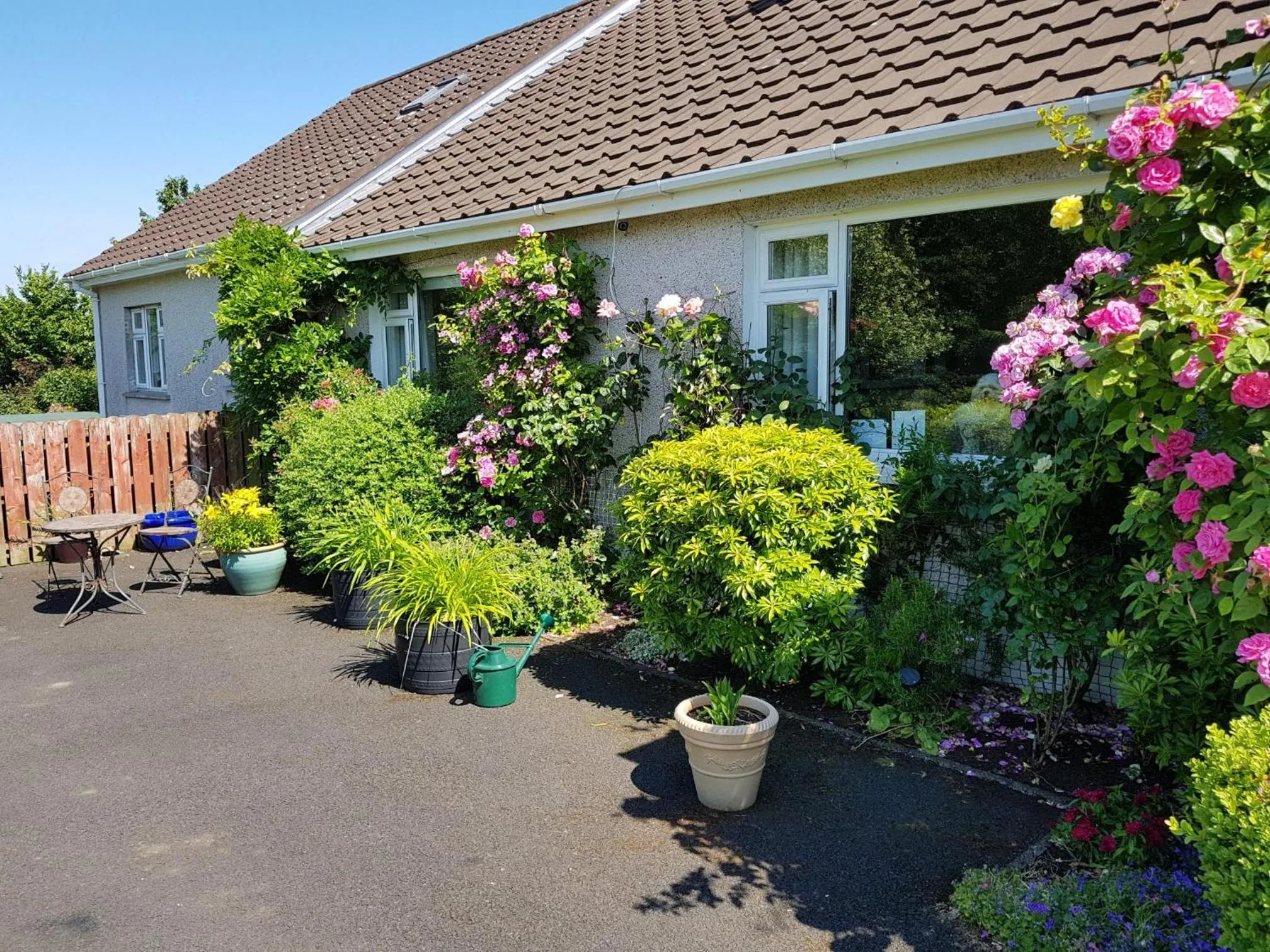 Garden in Meadow View B&B