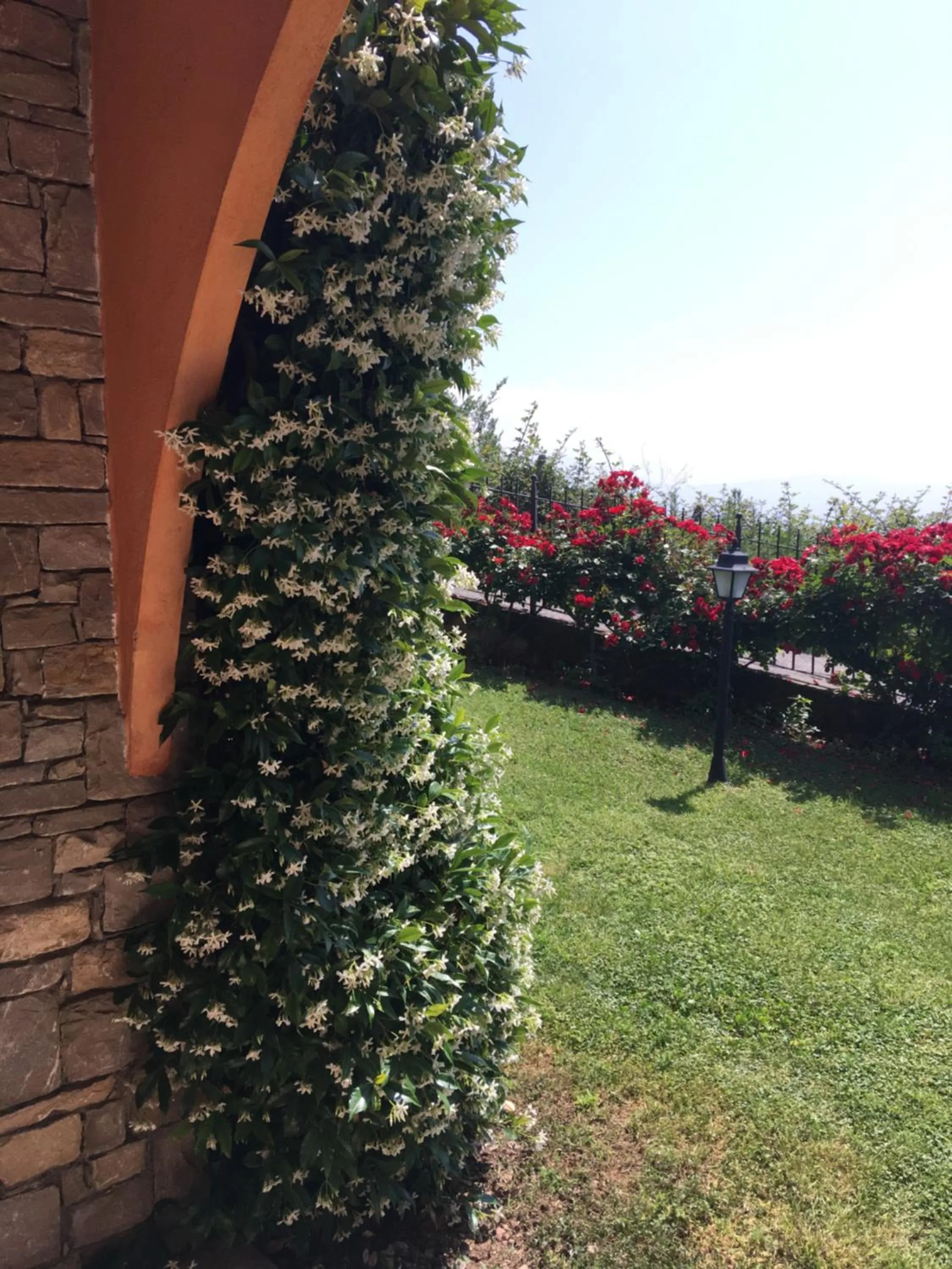 Garden view in Belvedere Hotel & Villa