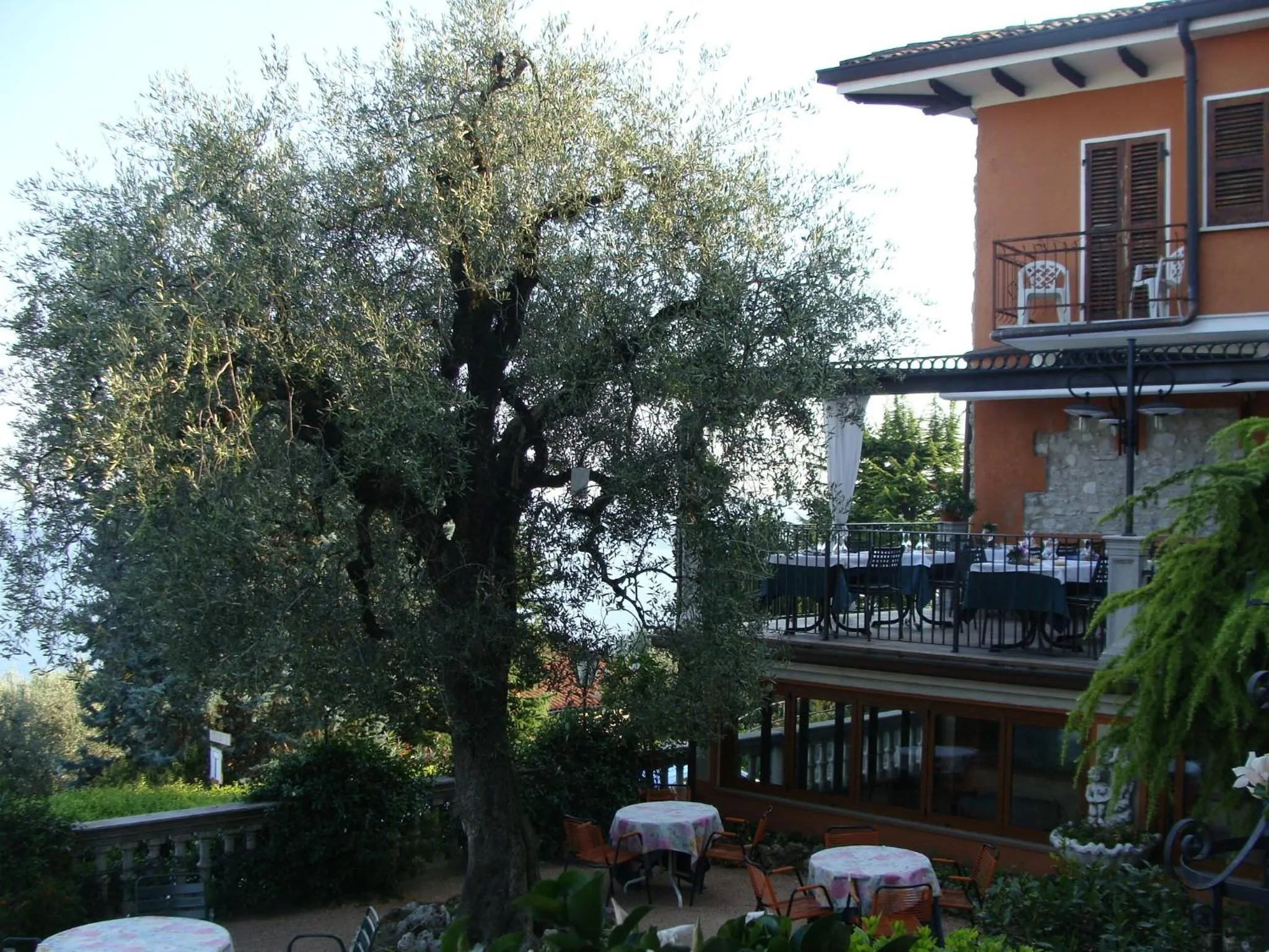 Garden in Belvedere Hotel & Villa
