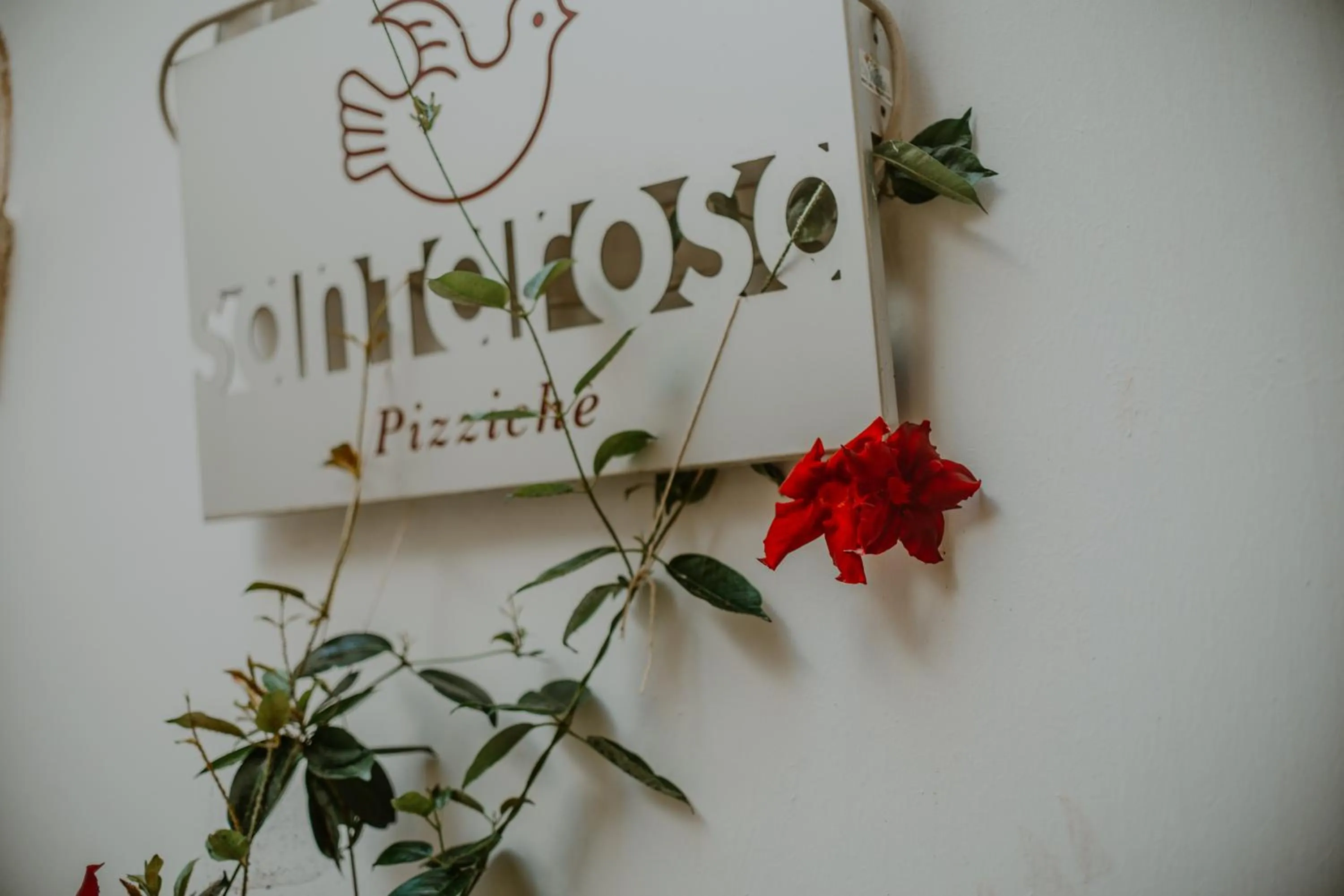 TV and multimedia in Santa Rosa Relais