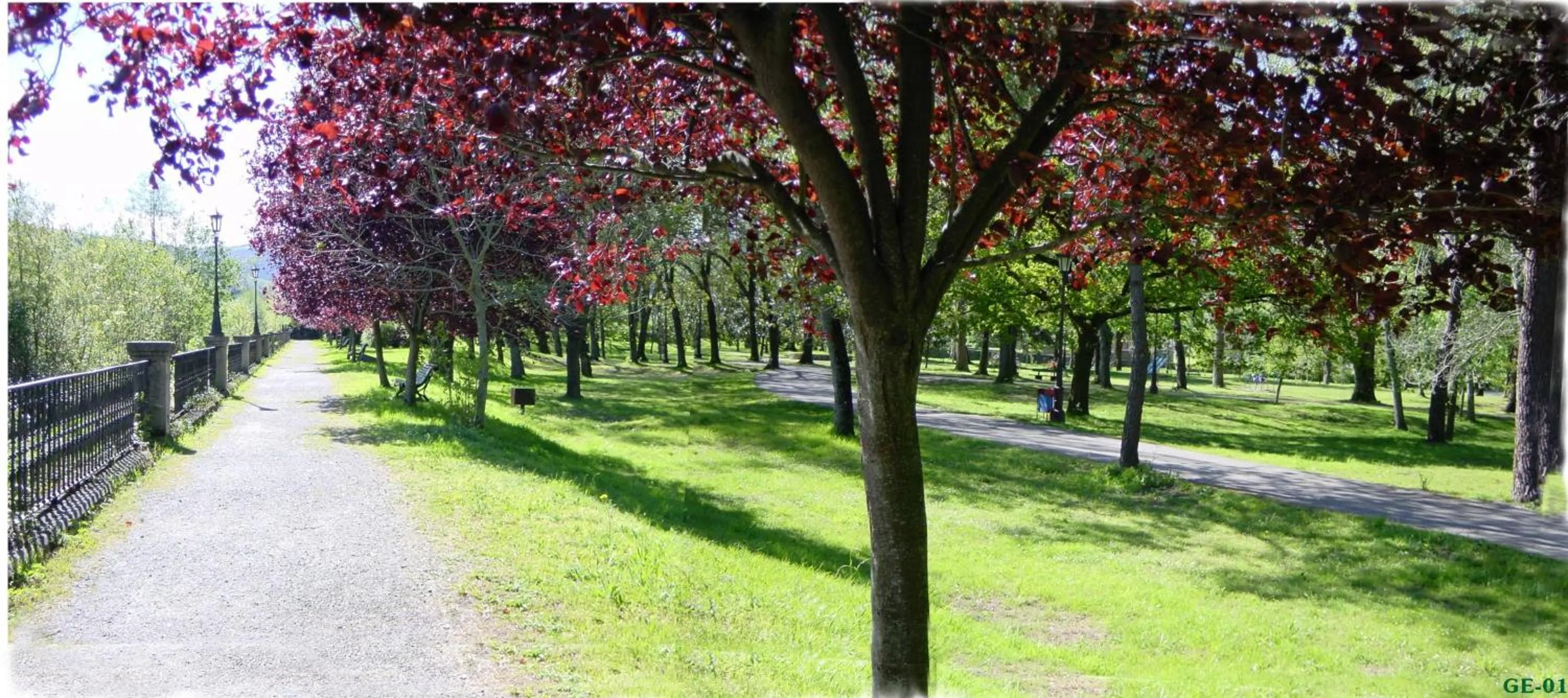 Spring in Hotel Balneario De Alceda