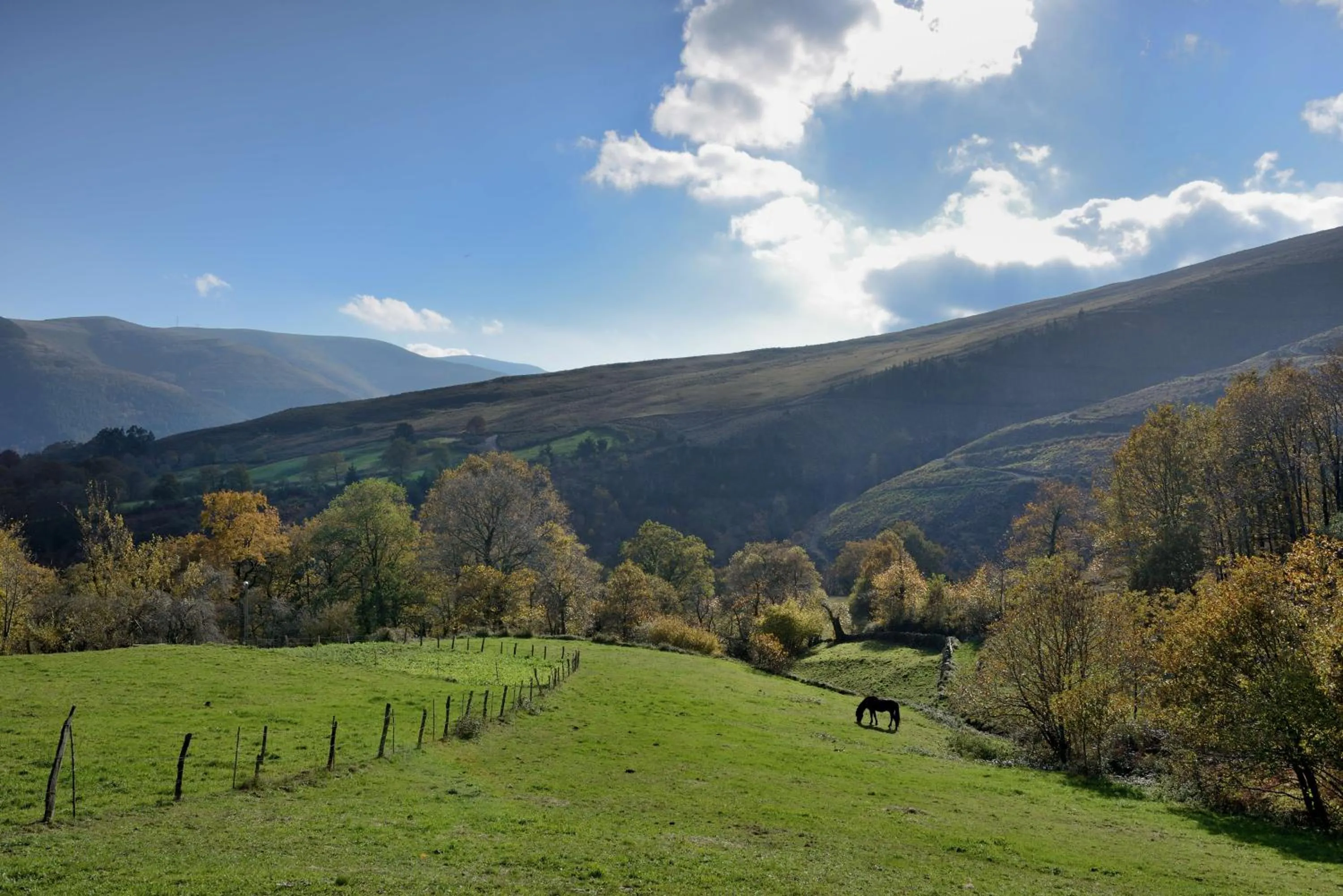 Other in Hotel Balneario De Alceda