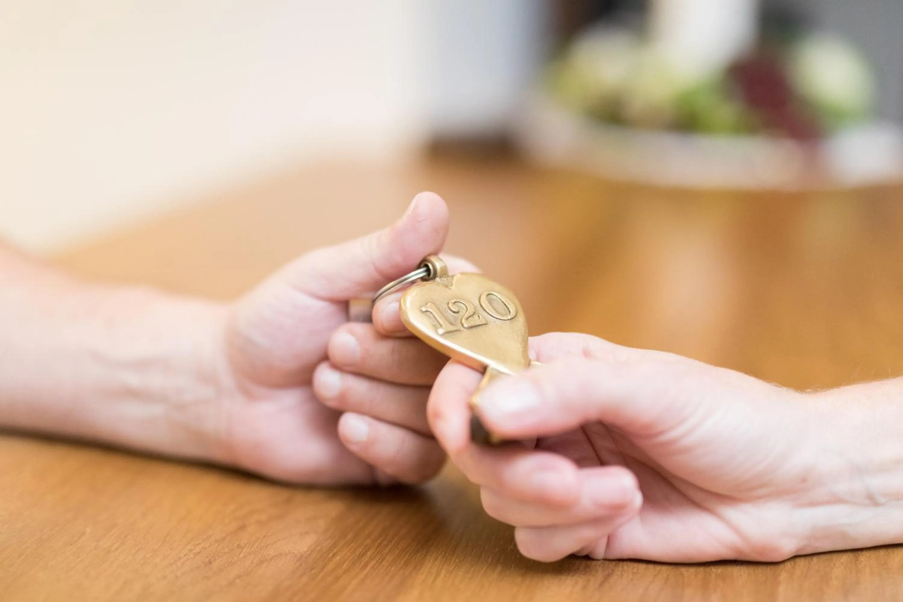 Area and facilities in Schlossgasthof