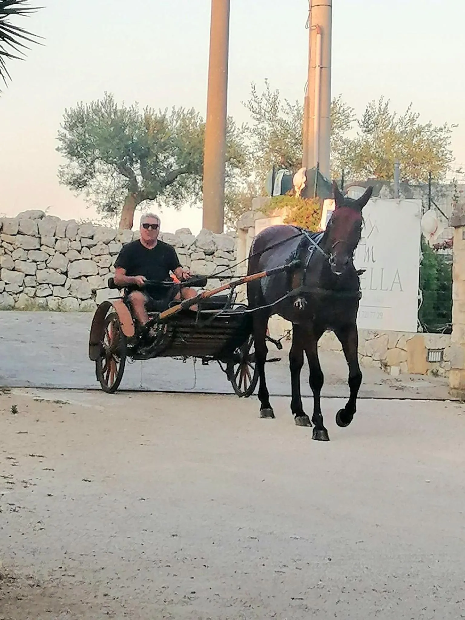 Animals in Mirella Charming