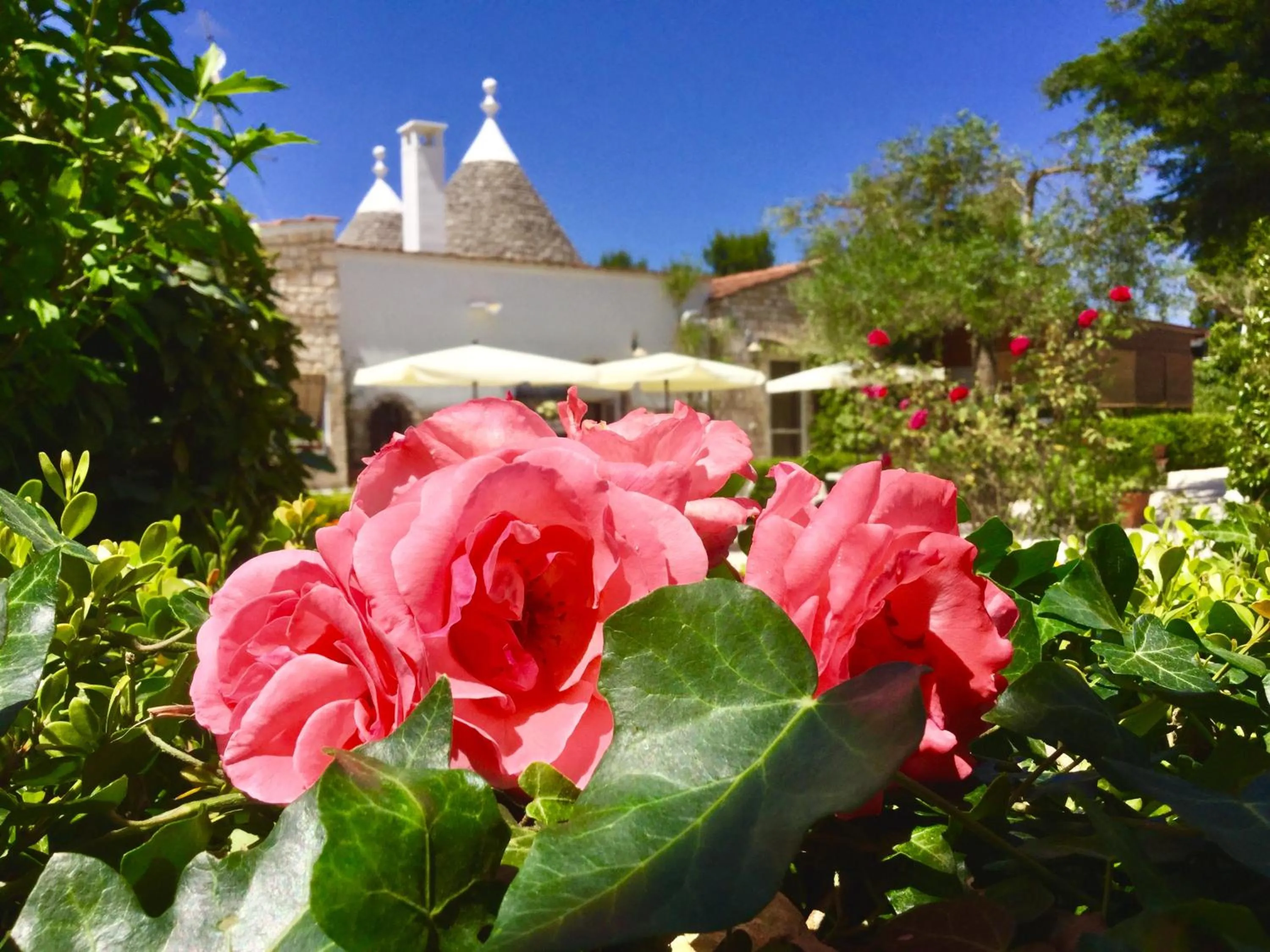 Property building in Mirella Charming