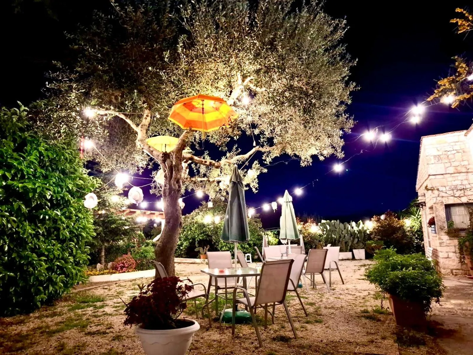 Garden view in Mirella Charming