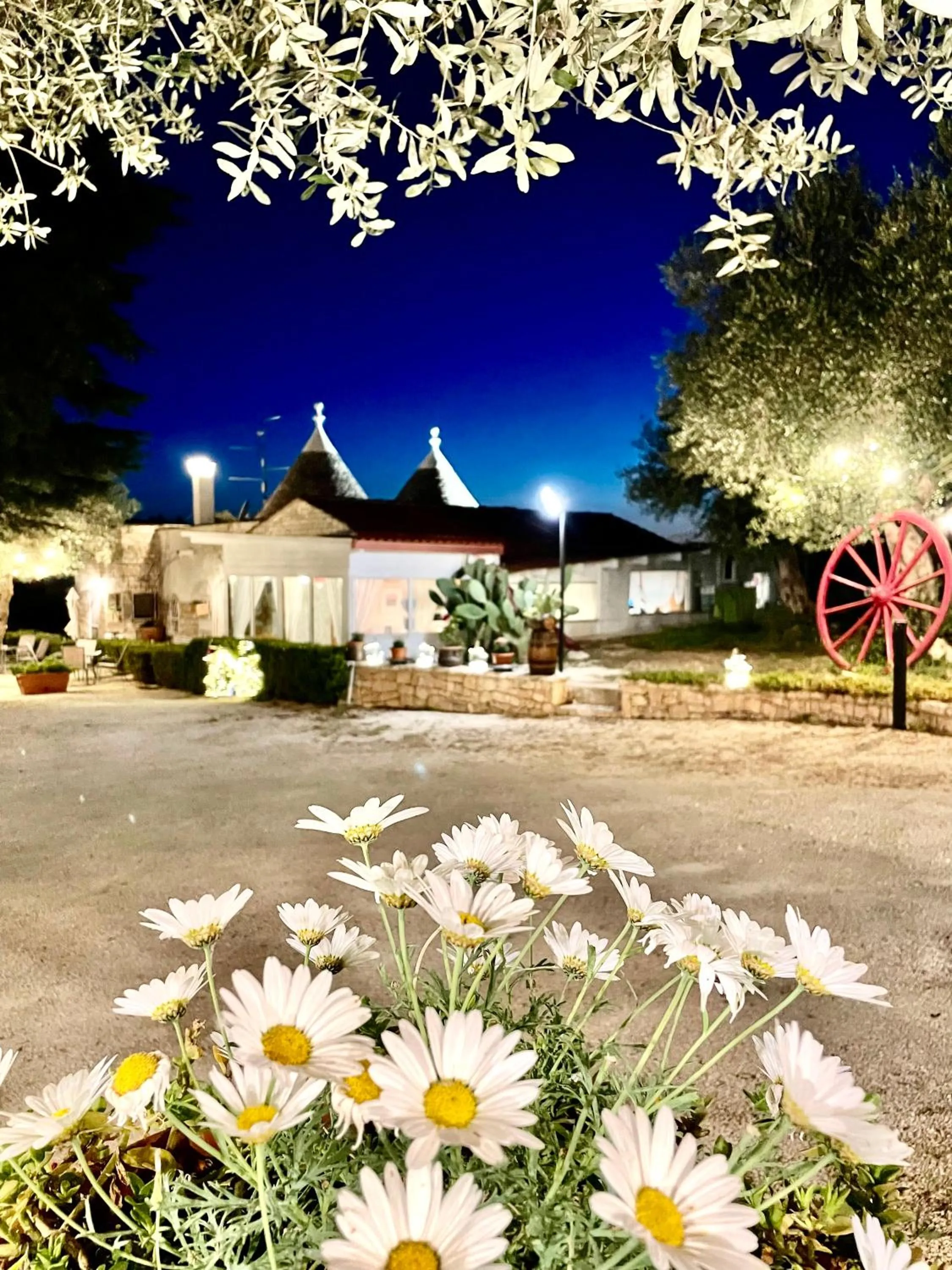 Property building in Mirella Charming