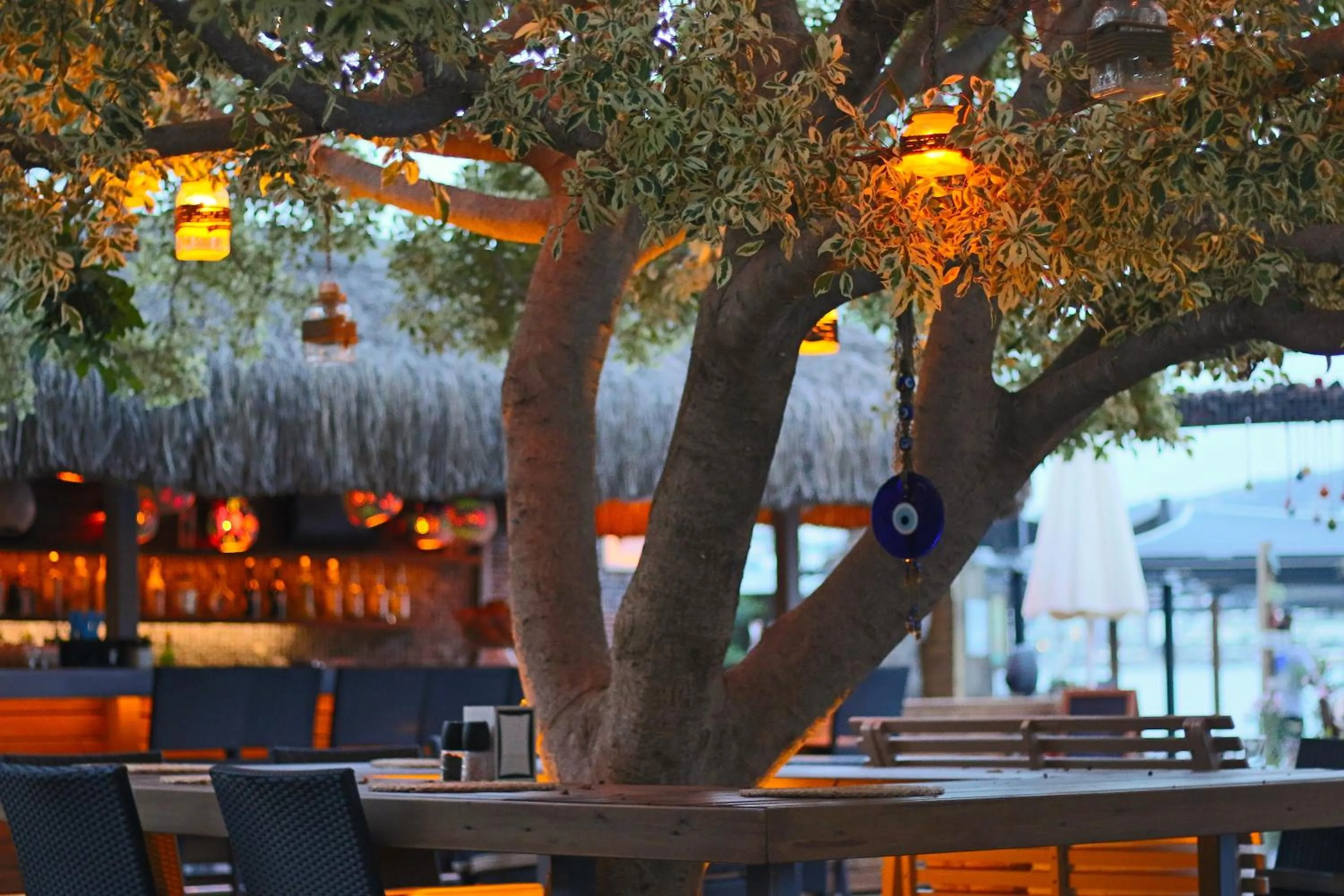 Restaurant/places to eat in Costa Farilya Special Class Hotel Bodrum