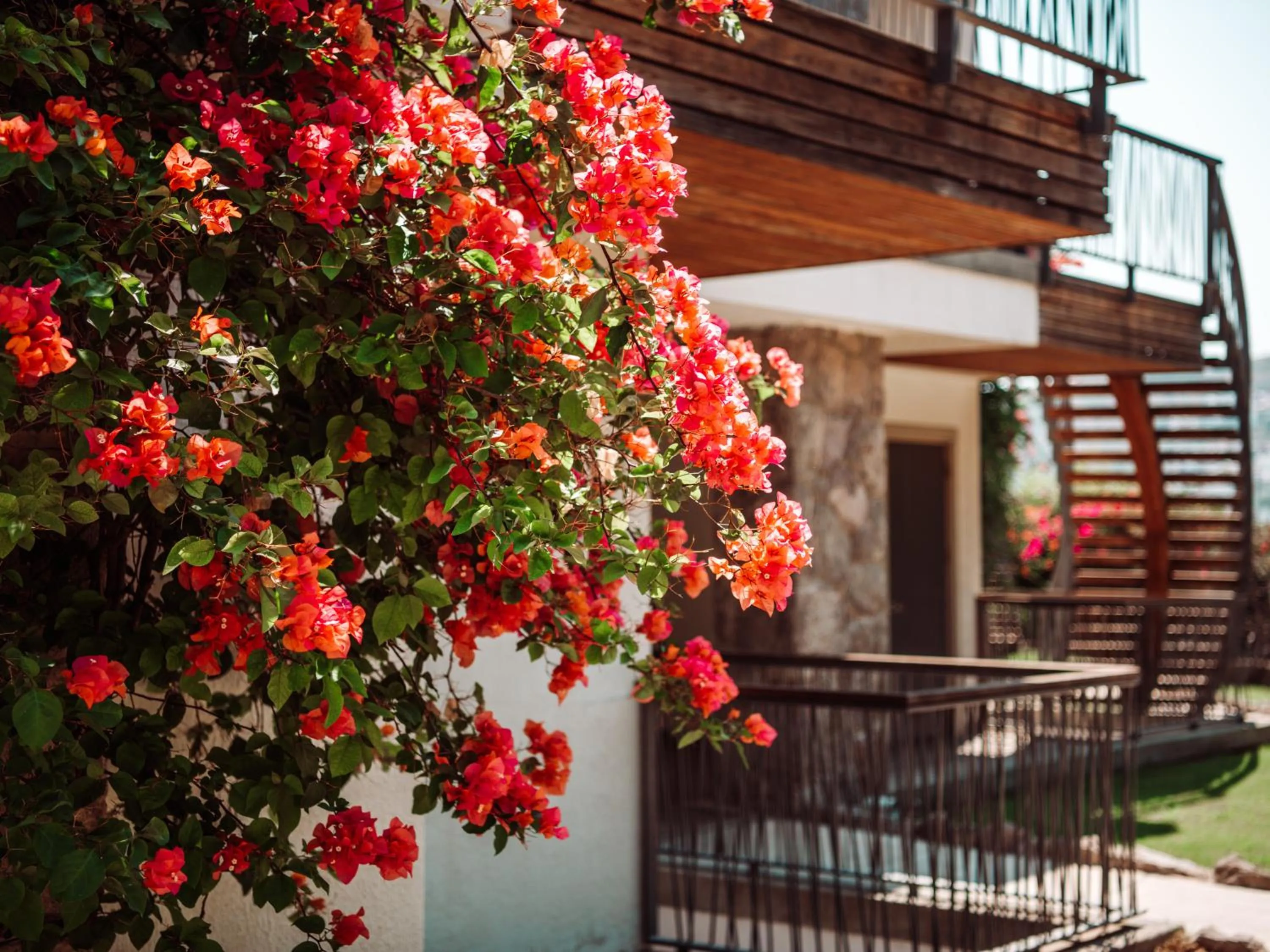 Balcony/Terrace in Costa Farilya Special Class Hotel Bodrum