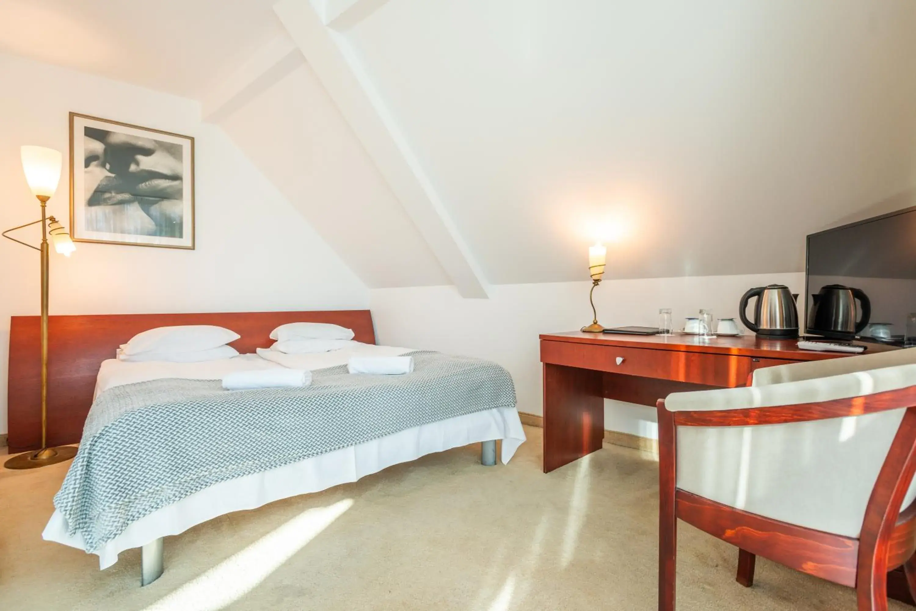 Large Double Room - single occupancy in Hotel Medūna Large Double Room - single occupancy in Hotel Medūna