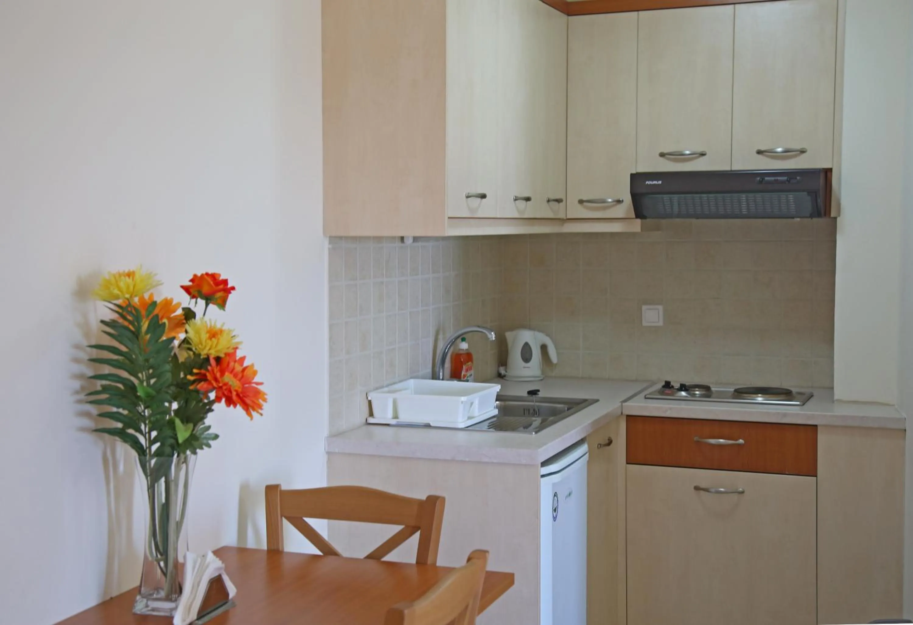 Kitchen or kitchenette in Hotel Sea Breeze