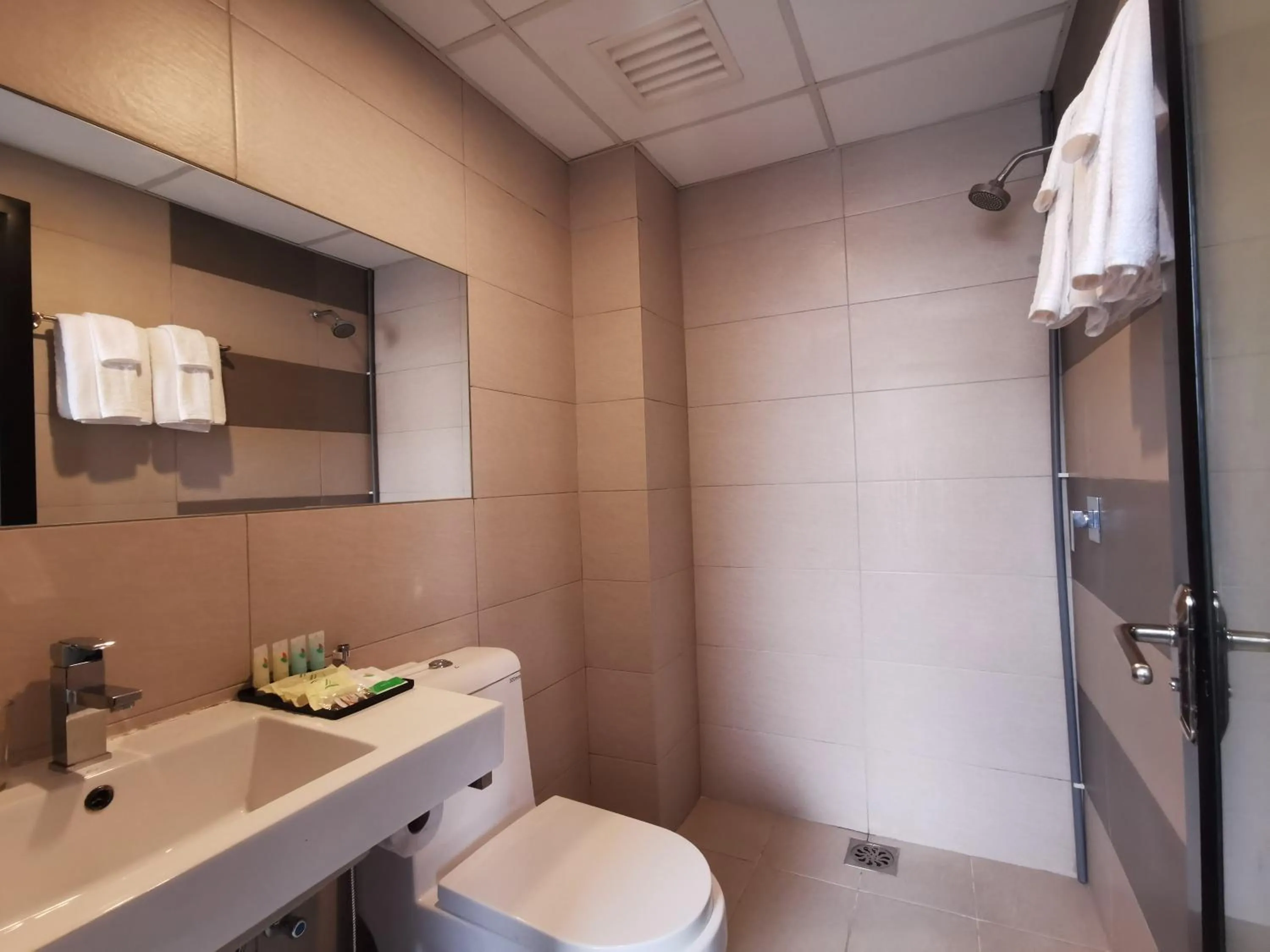 Bathroom in Leo Palace Hotel New Wing, WTC Kuala Lumpur