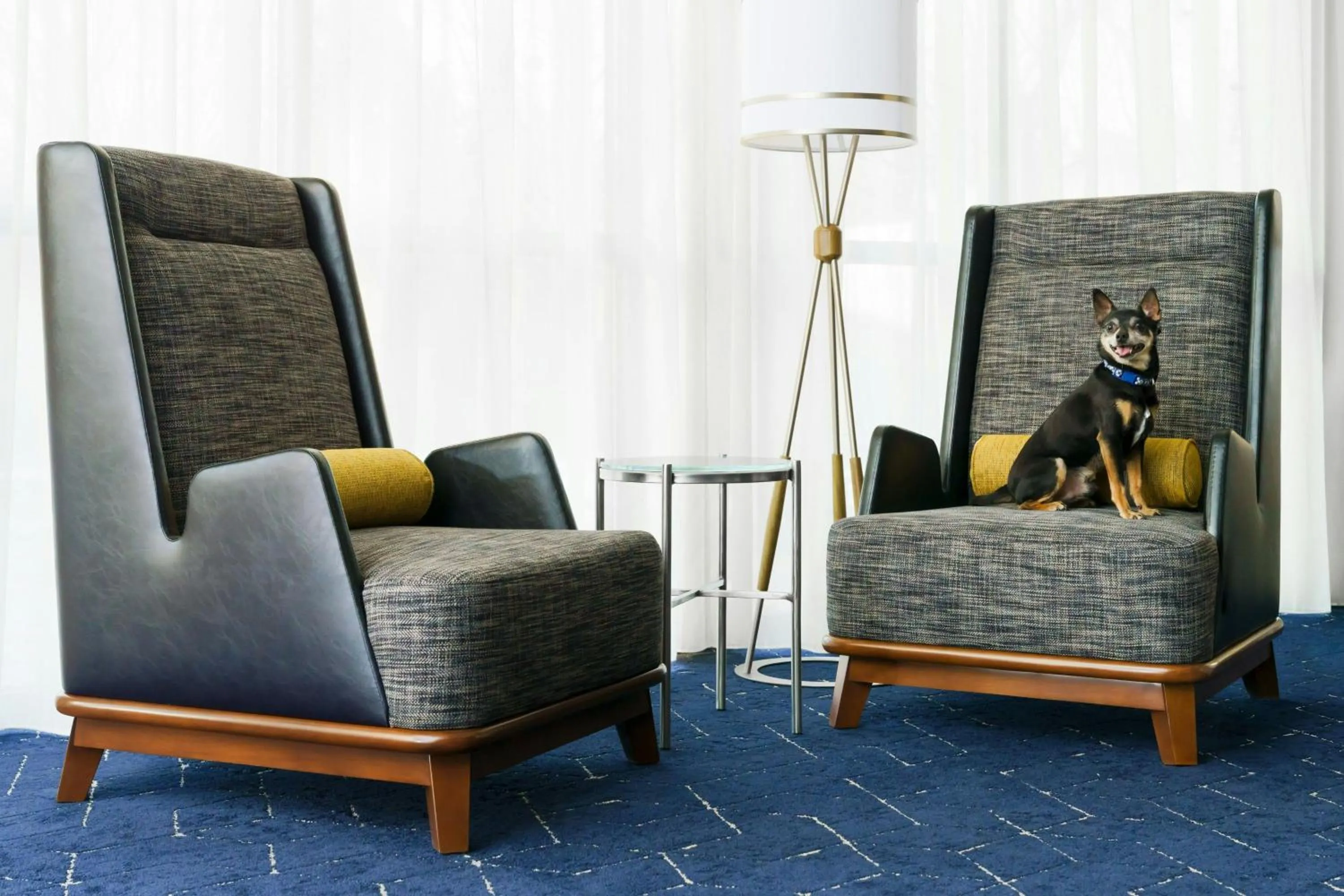 Other in Courtyard by Marriott Potomac Mills Woodbridge