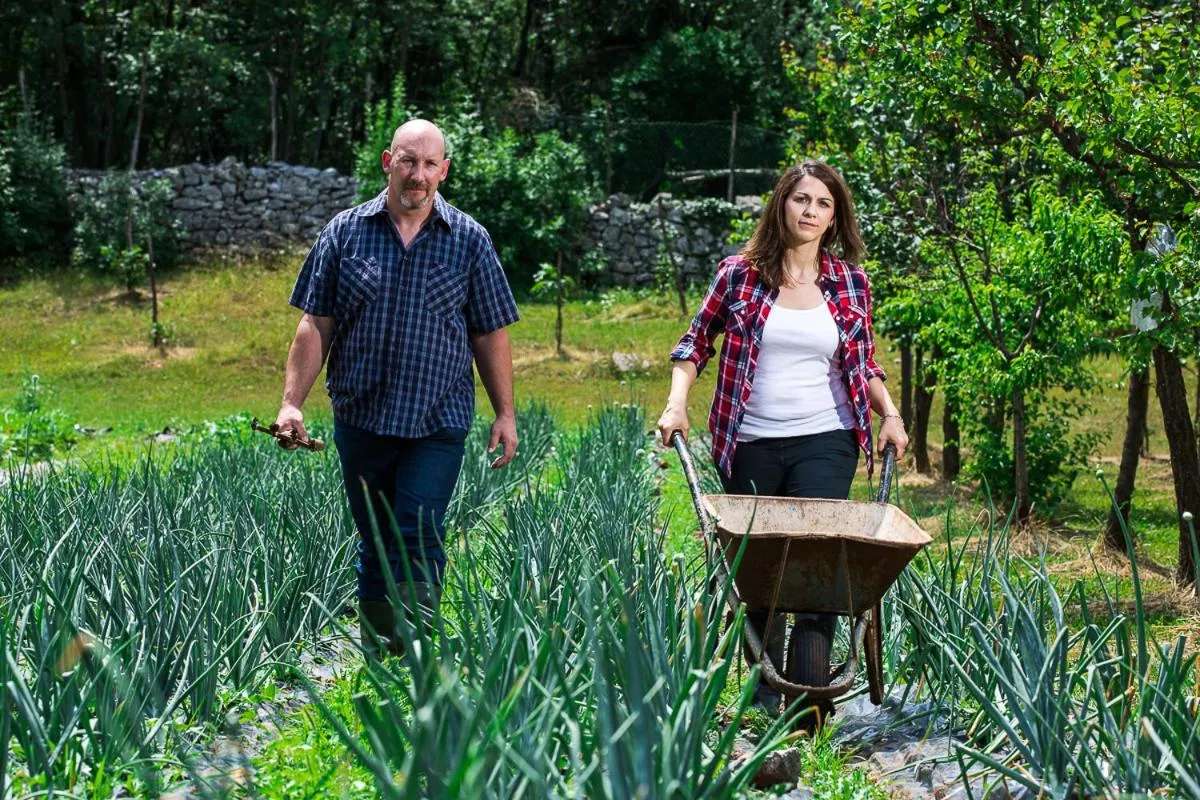 Food in Lokanda Devetak