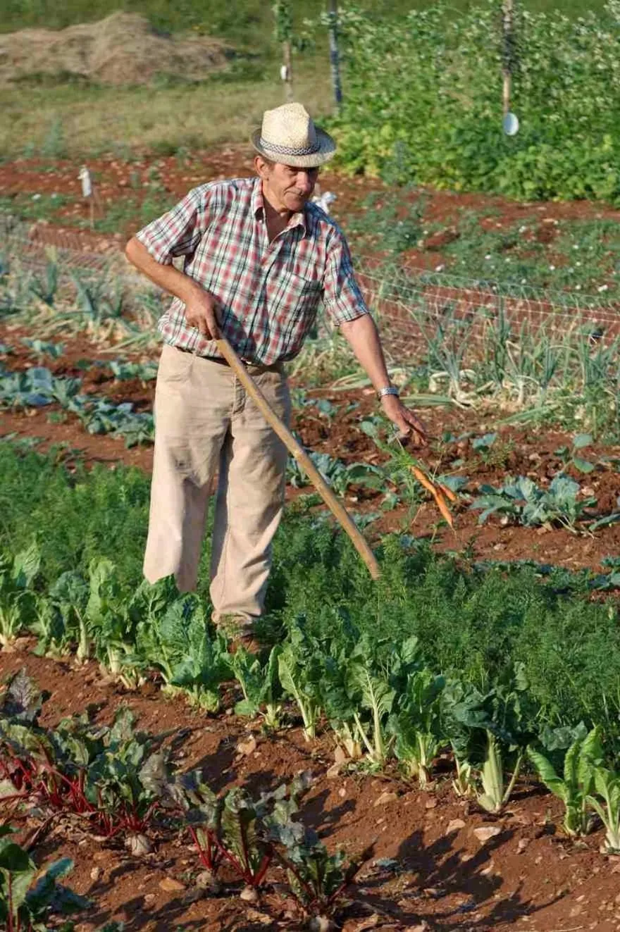 Guests in Lokanda Devetak