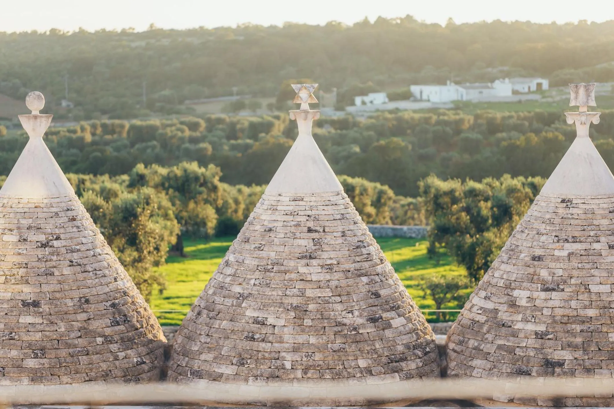 Natural landscape in Masseria Grieco