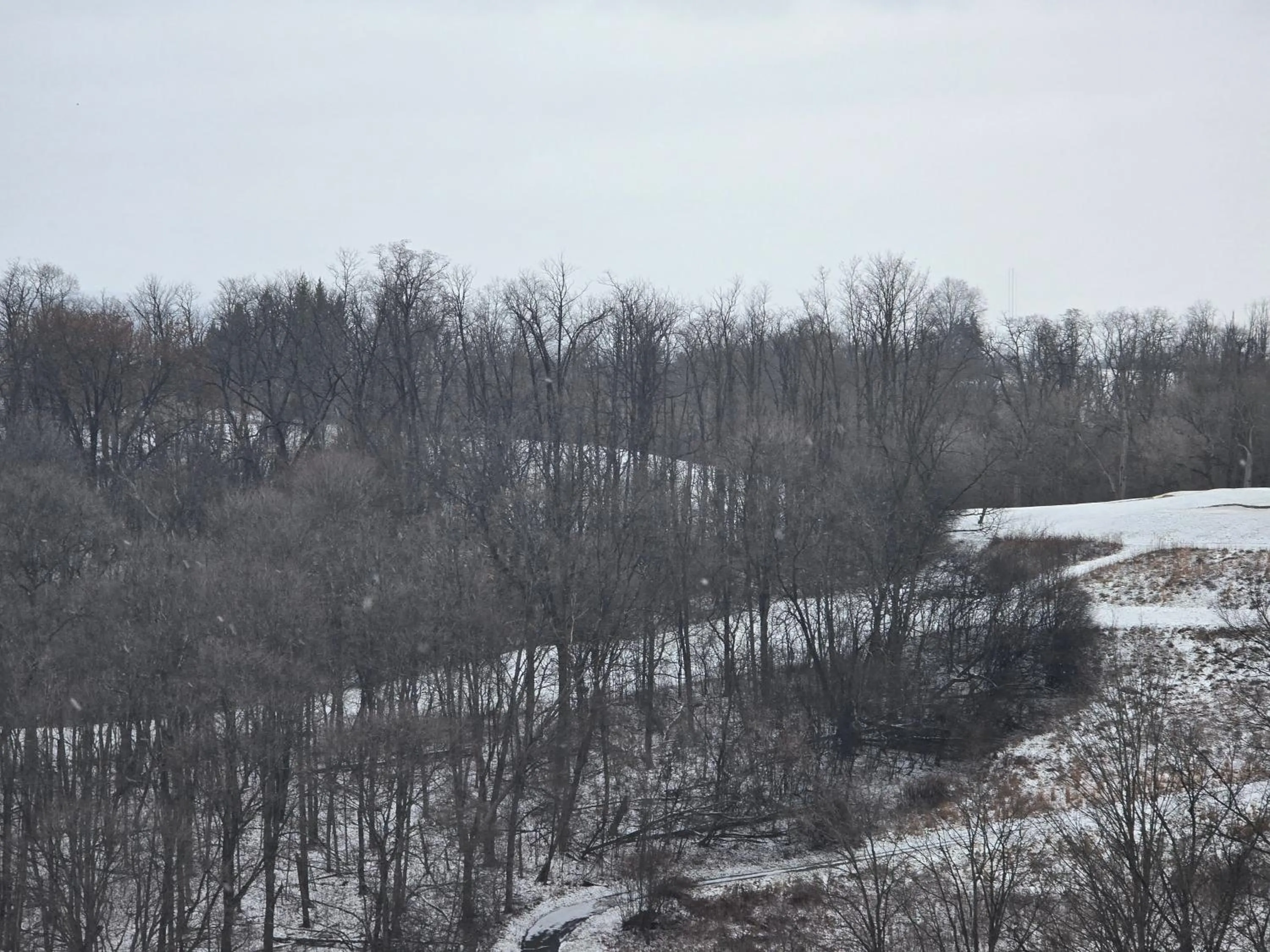 View (from property/room) in Country Inn & Suites by Radisson, Convention Center