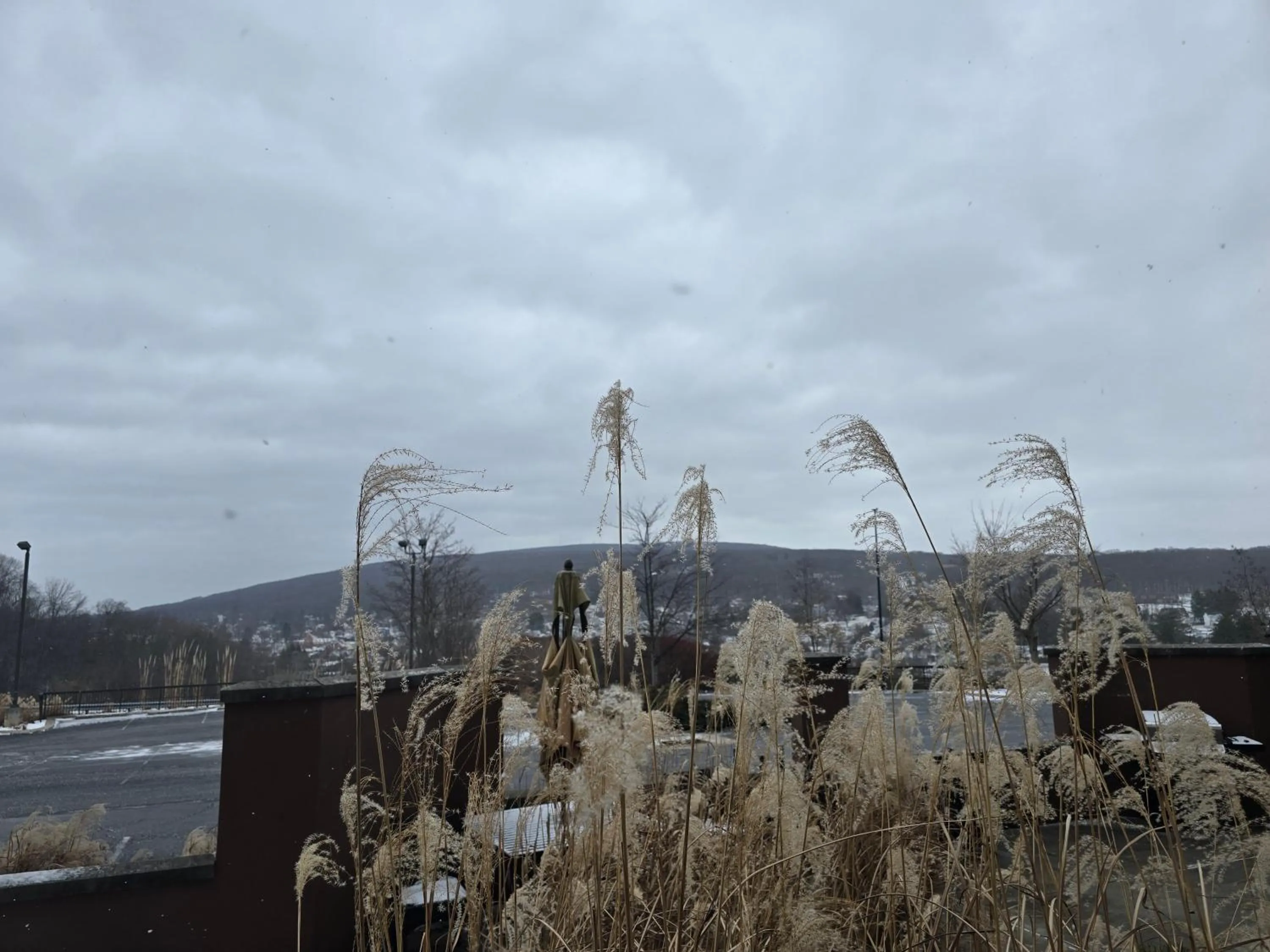 Garden in Country Inn & Suites by Radisson, Convention Center