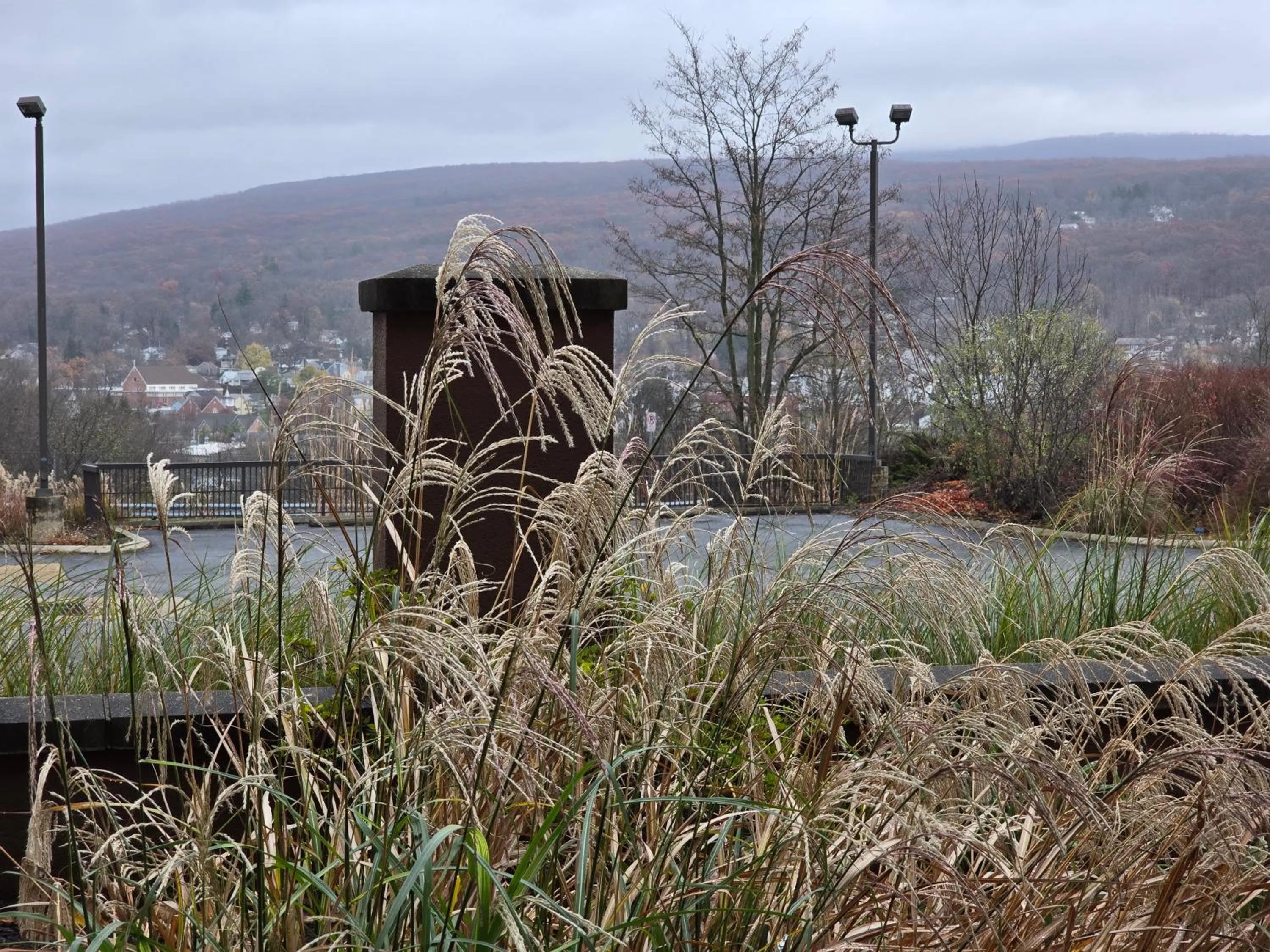 Garden in Country Inn & Suites by Radisson, Convention Center