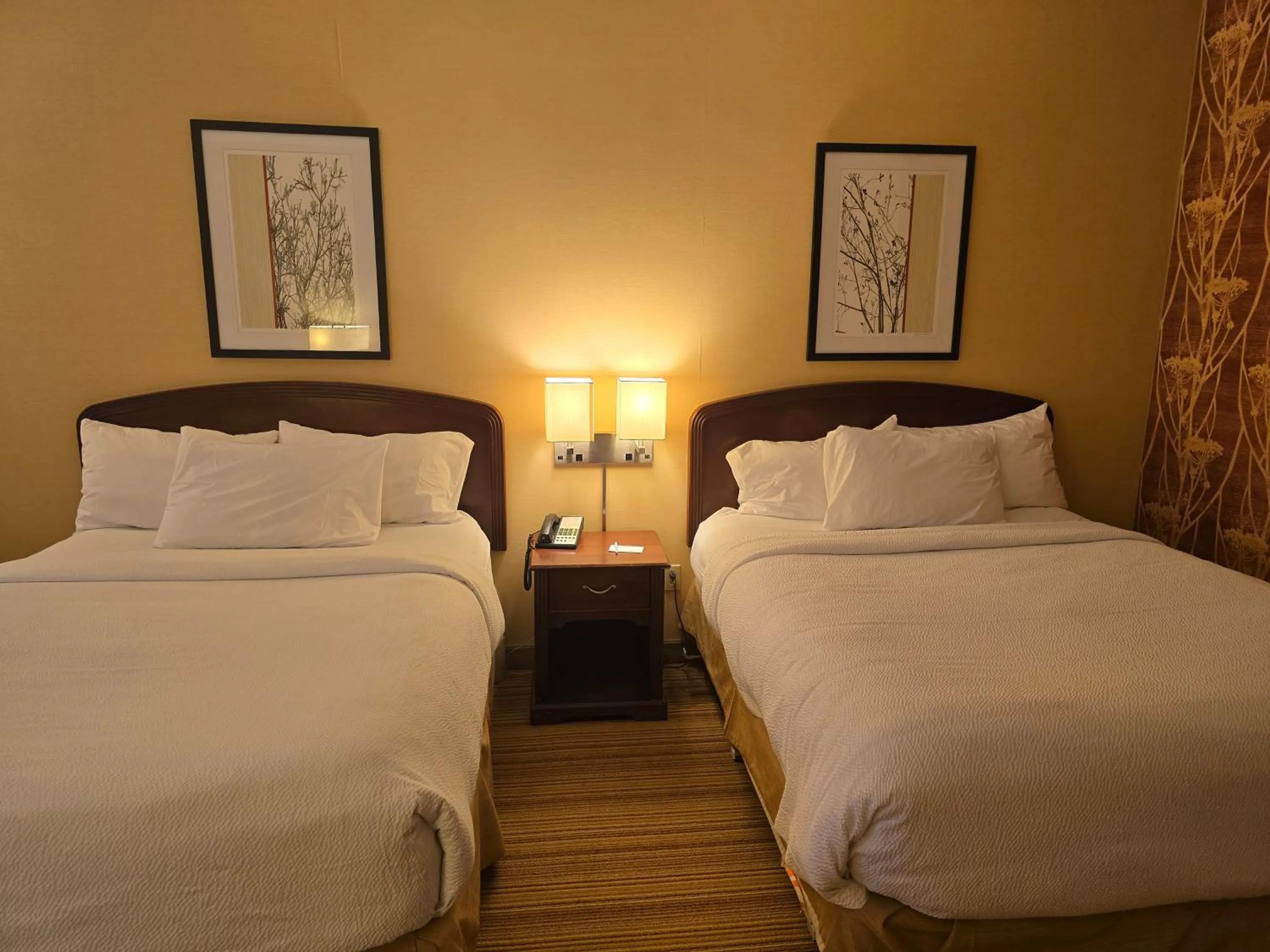 Bedroom, Bed in Country Inn & Suites by Radisson, Convention Center