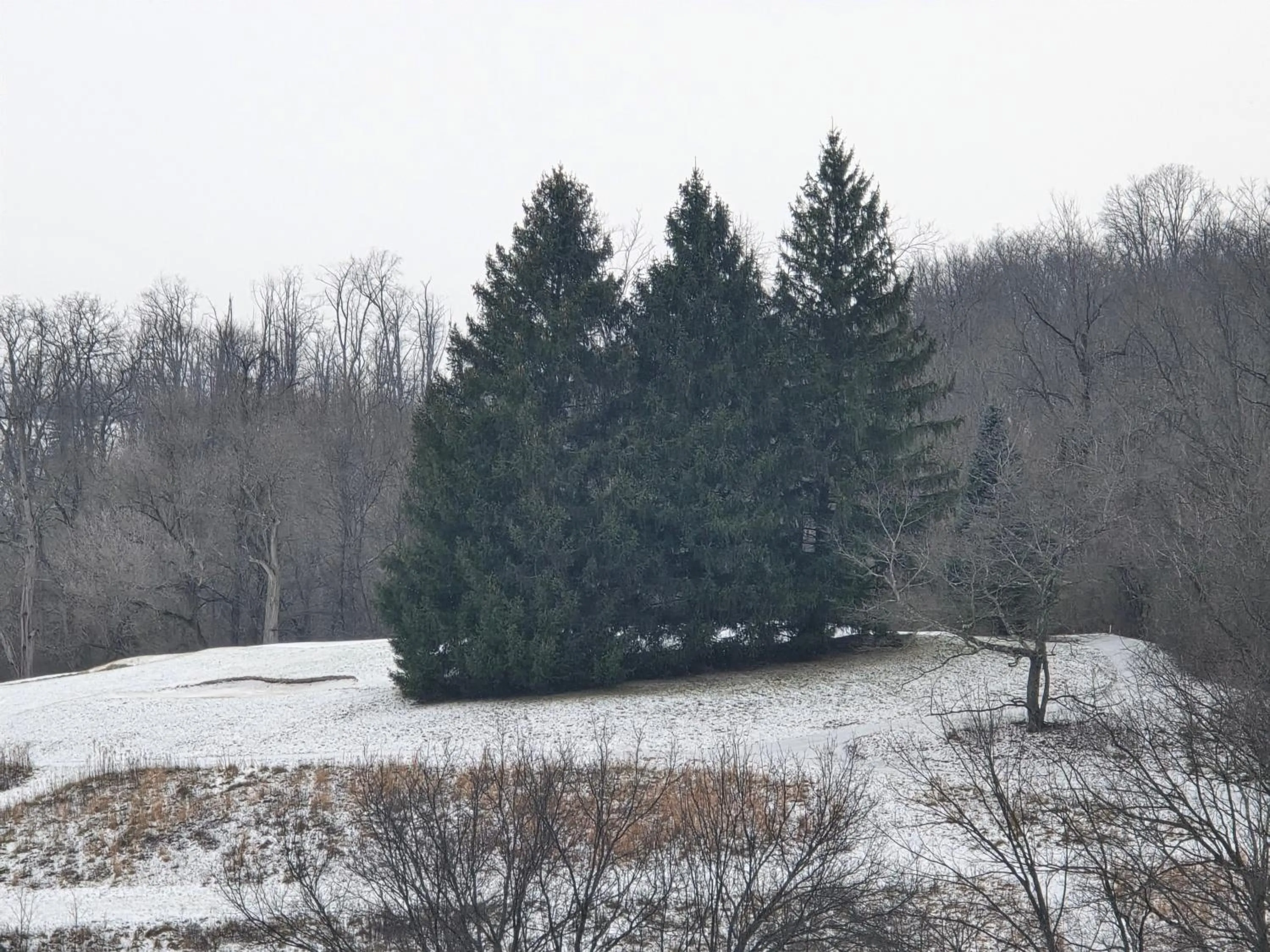 View (from property/room) in Country Inn & Suites by Radisson, Convention Center