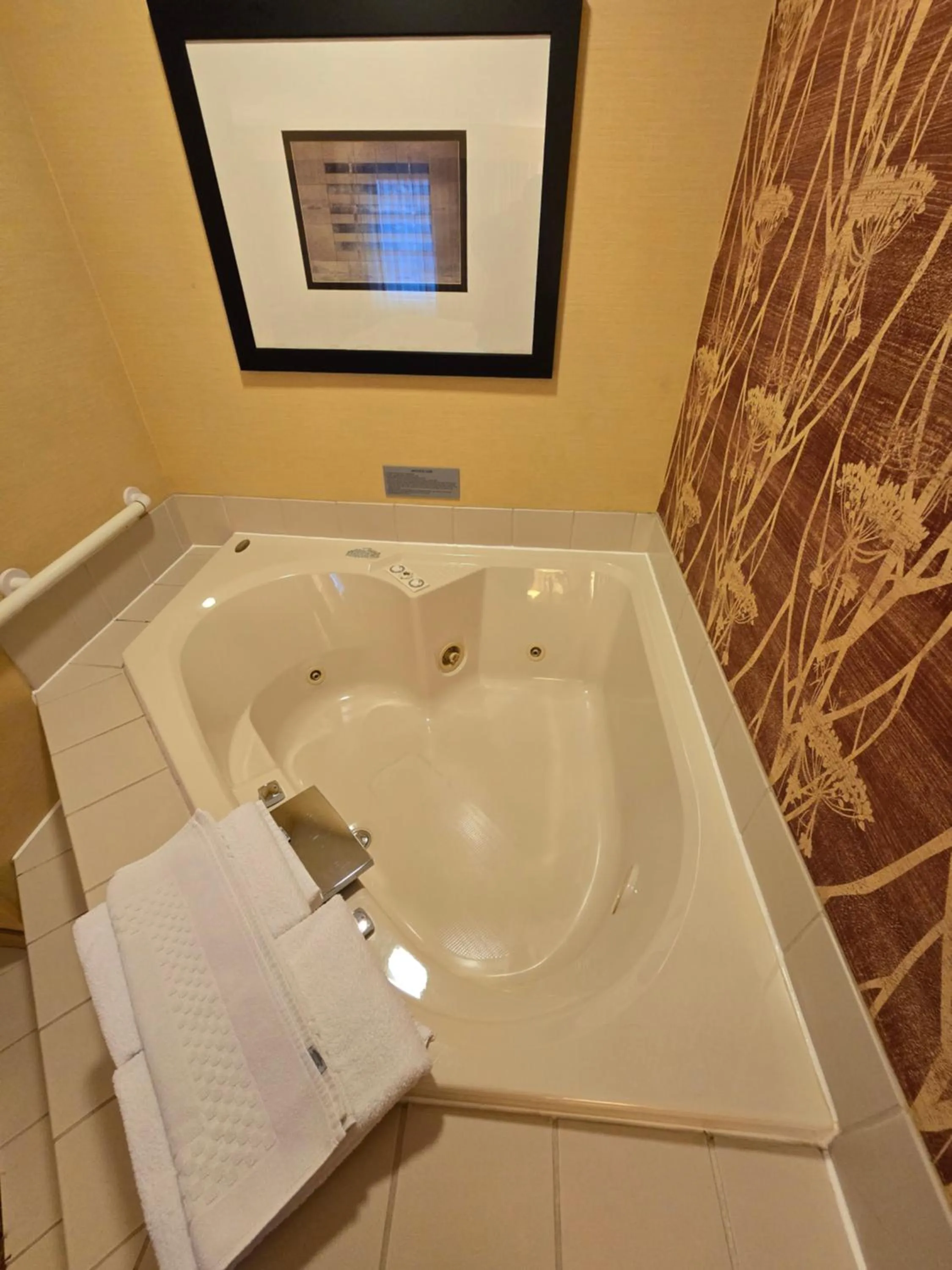 Hot Tub in Country Inn & Suites by Radisson, Convention Center