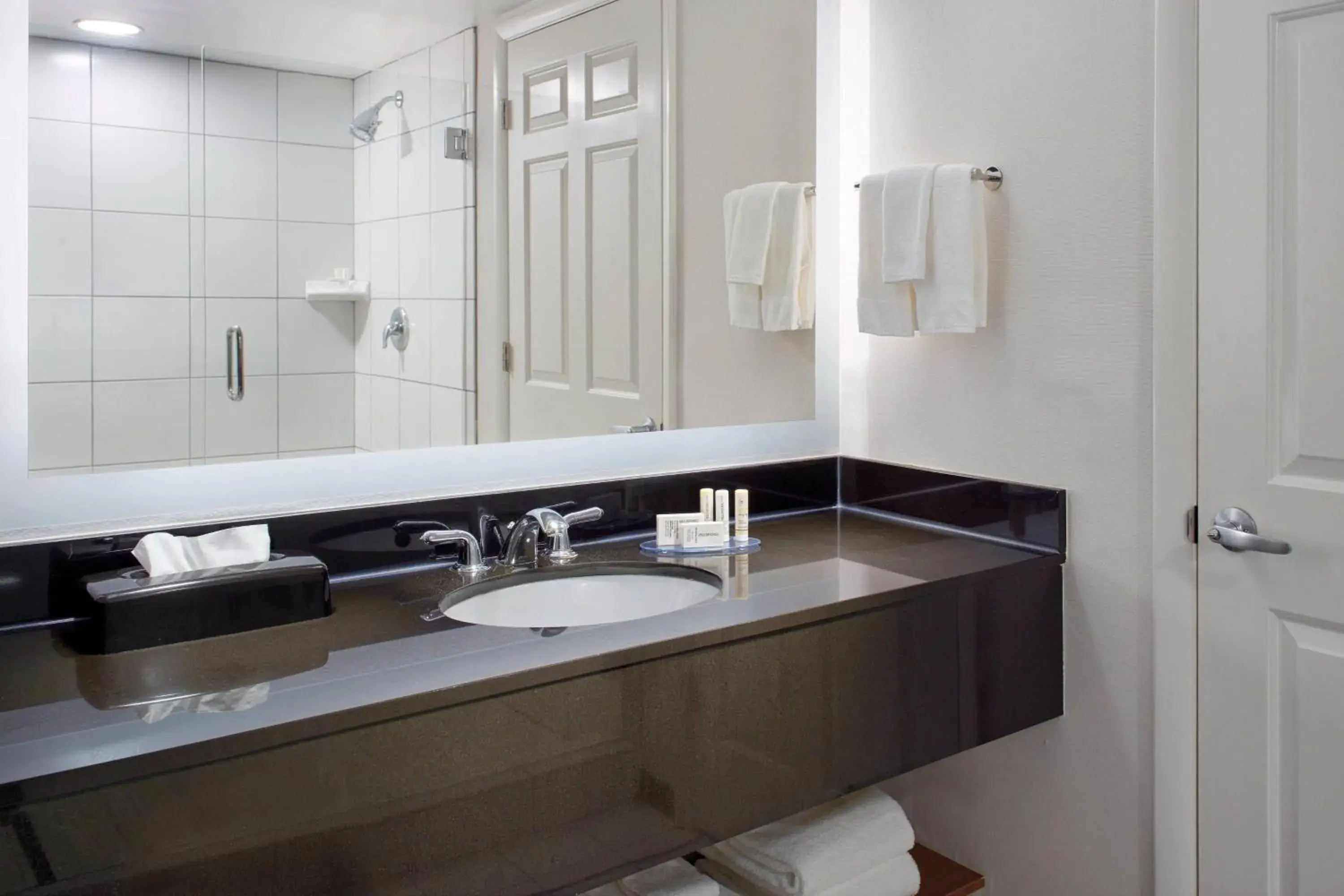 King Studio with Sofa Bed in Fairfield by Marriott Inn & Suites Asheville Outlets King Studio with Sofa Bed in Fairfield by Marriott Inn & Suites Asheville Outlets