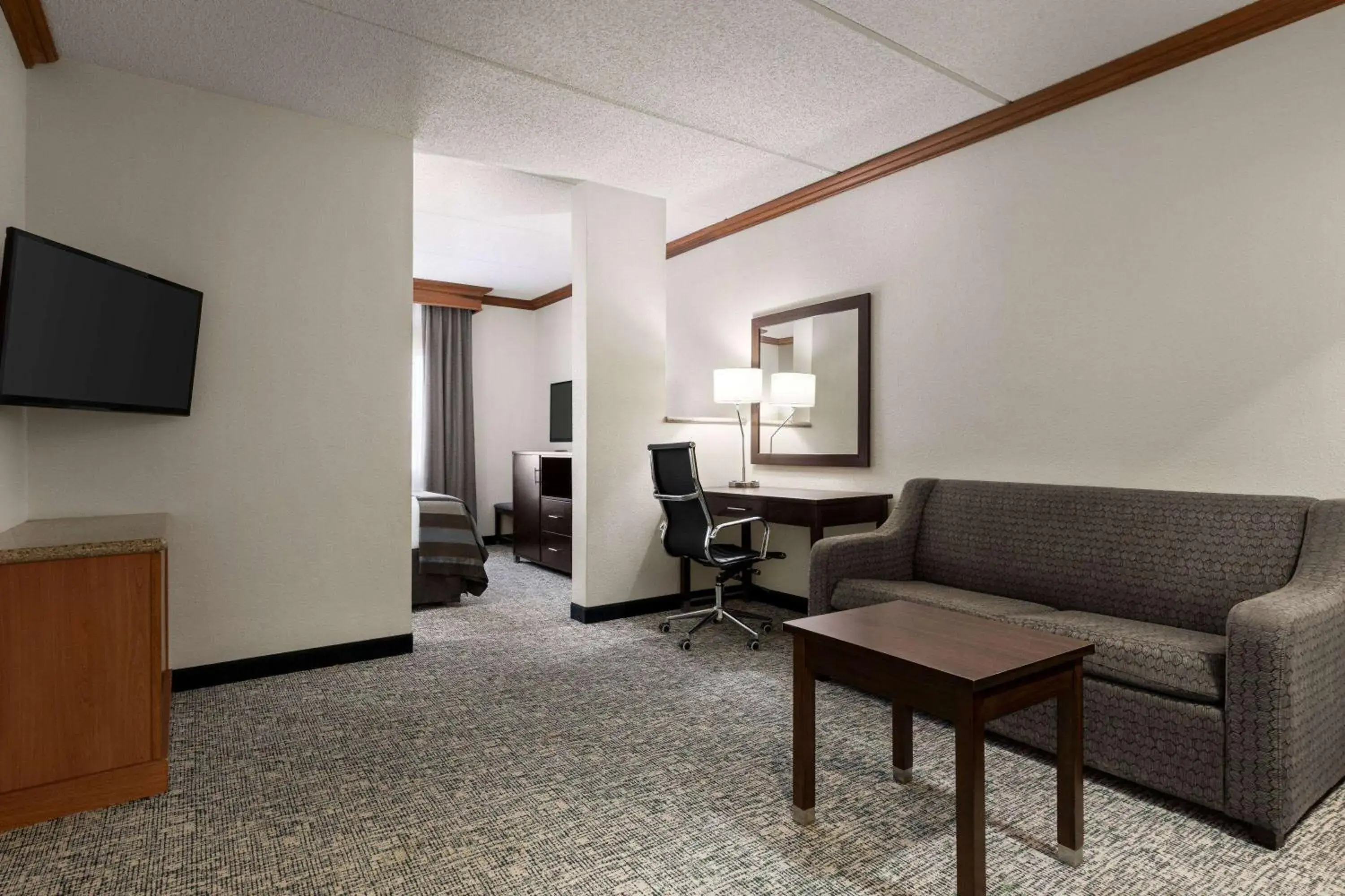 King Studio Suite - Non-Smoking in Wingate by Wyndham Fletcher at Asheville Airport King Studio Suite - Non-Smoking in Wingate by Wyndham Fletcher at Asheville Airport