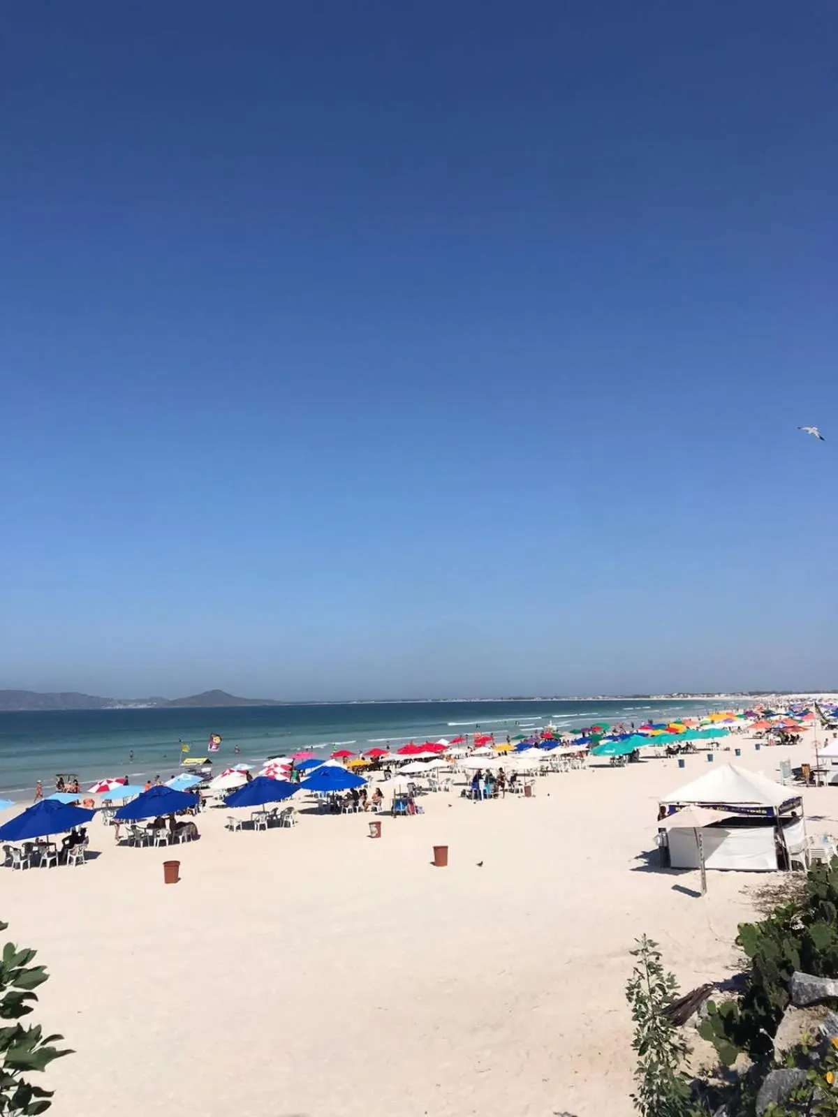 Natural landscape in Hotel Marlen