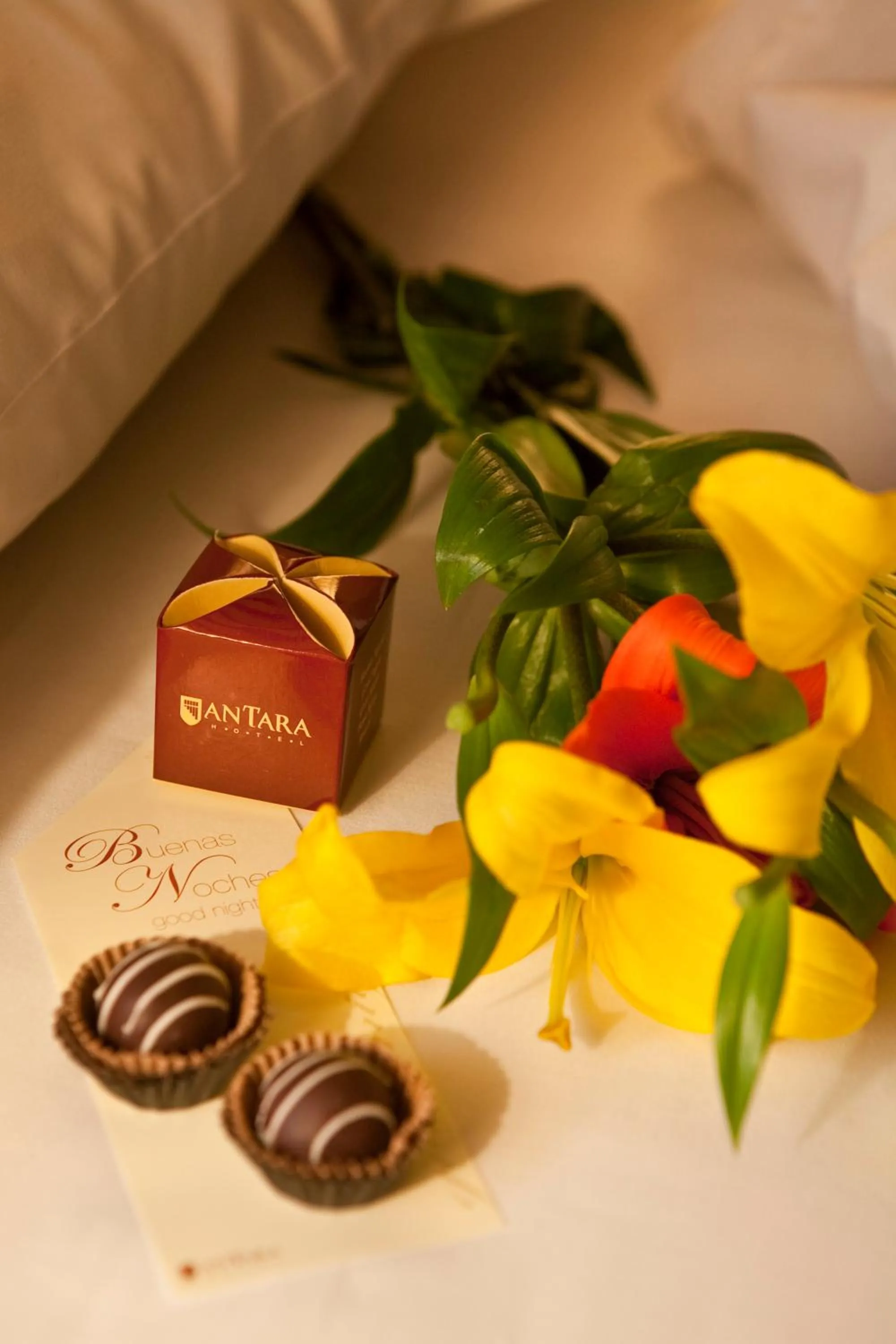 Decorative detail in Antara Hotel & Suites - Miraflores