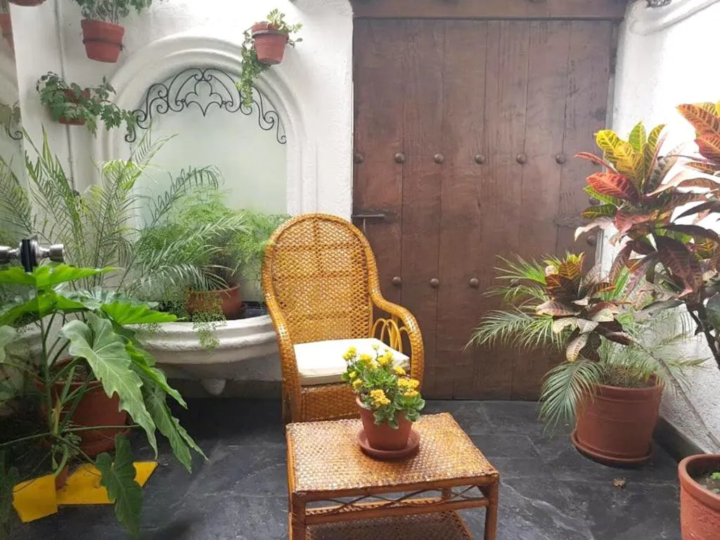 Garden view in Antara Hotel & Suites - Miraflores