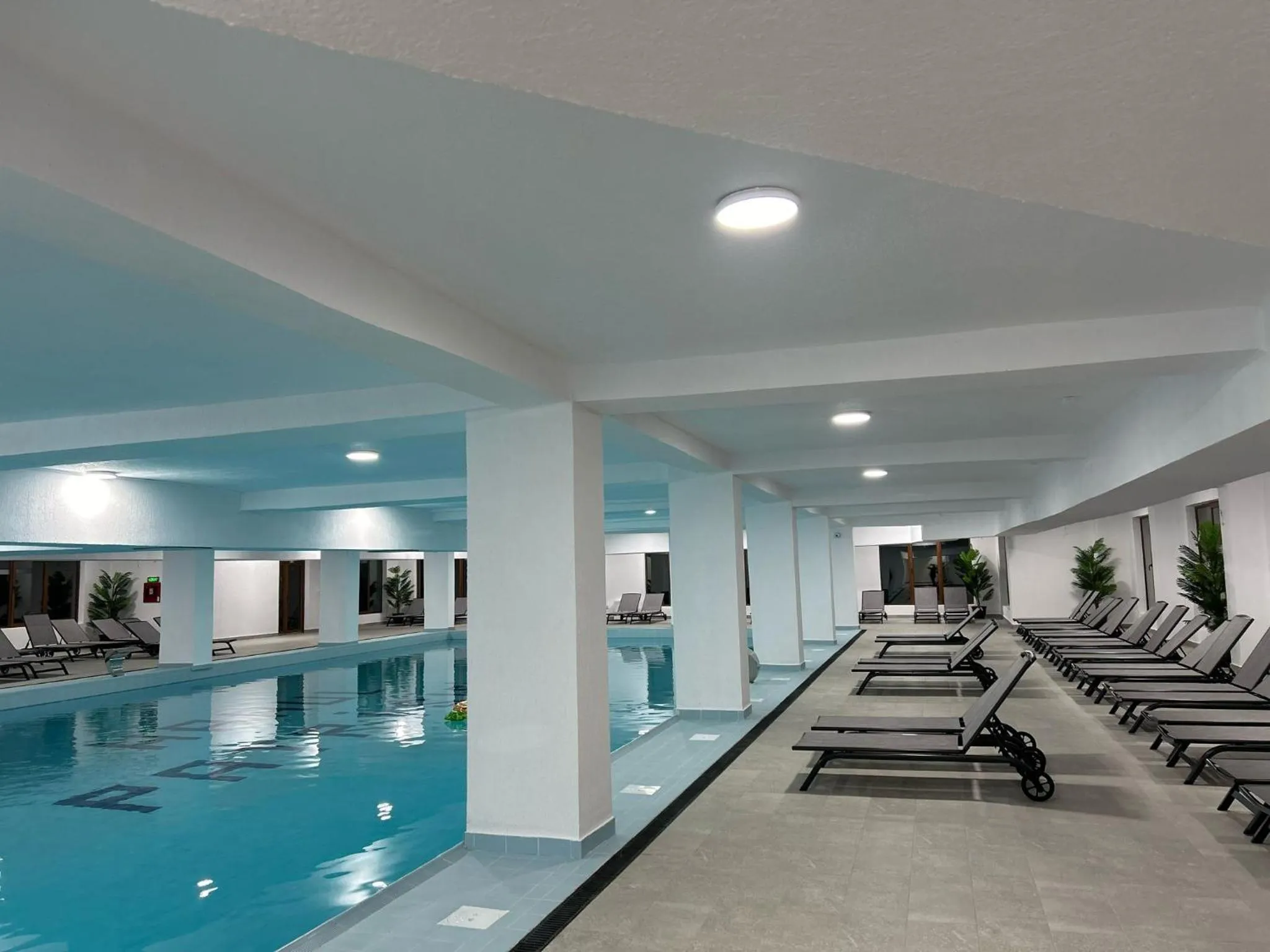 Swimming pool in Hanul Patrisiei