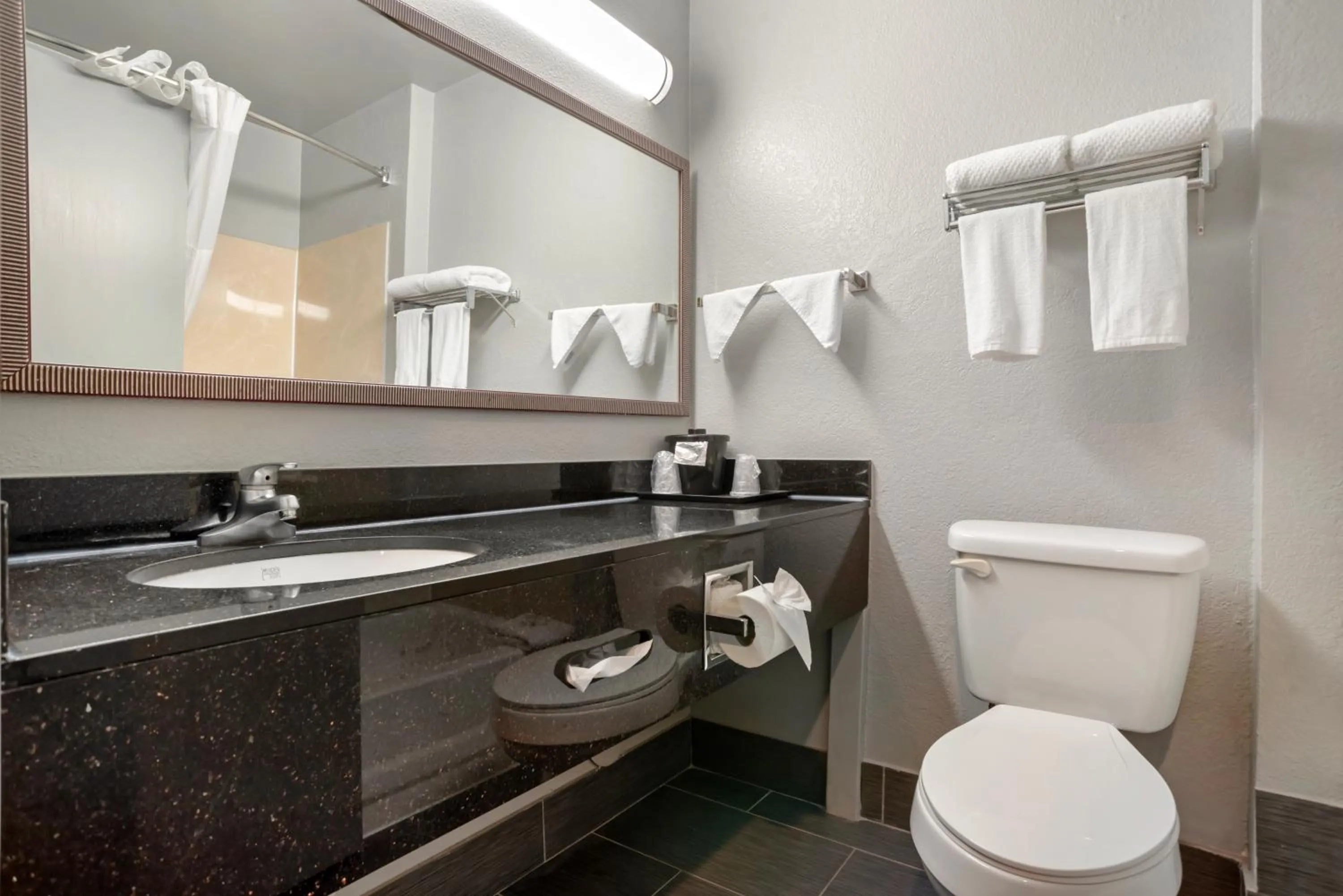 Bathroom in Quality Inn & Suites Birmingham - Highway 280