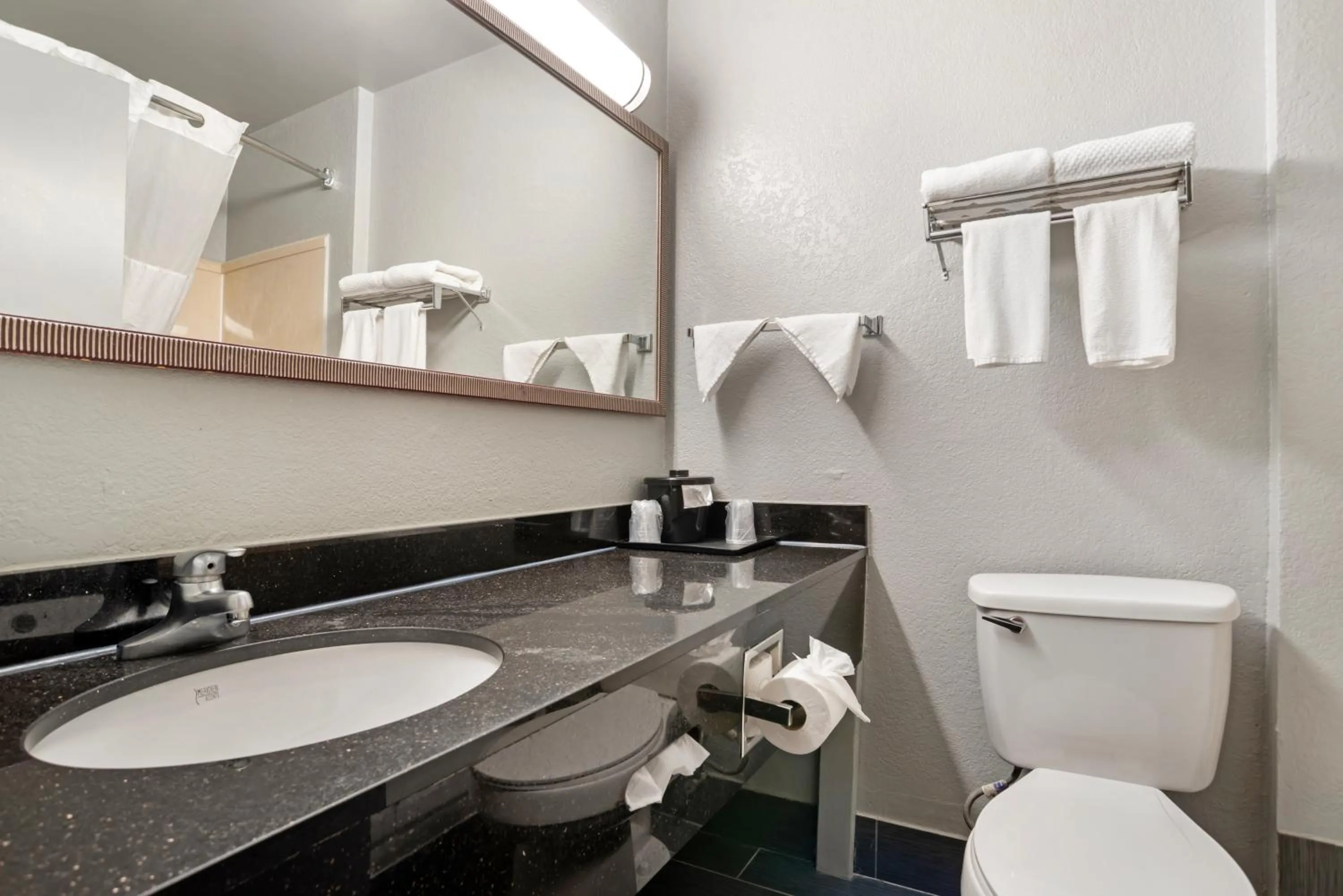 Bathroom in Quality Inn & Suites Birmingham - Highway 280